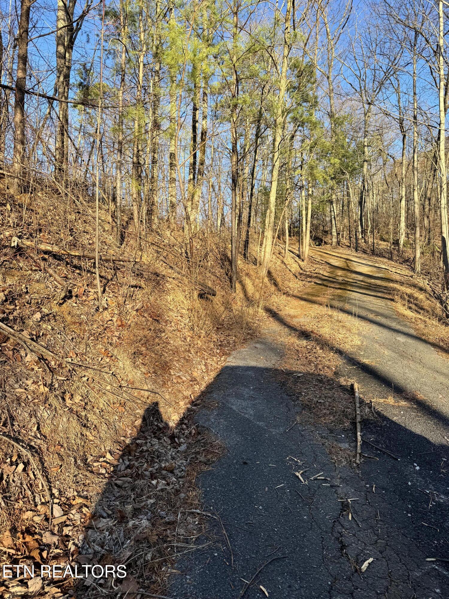 3361 Sugar Maple Loop Road Sevierville TN 37862