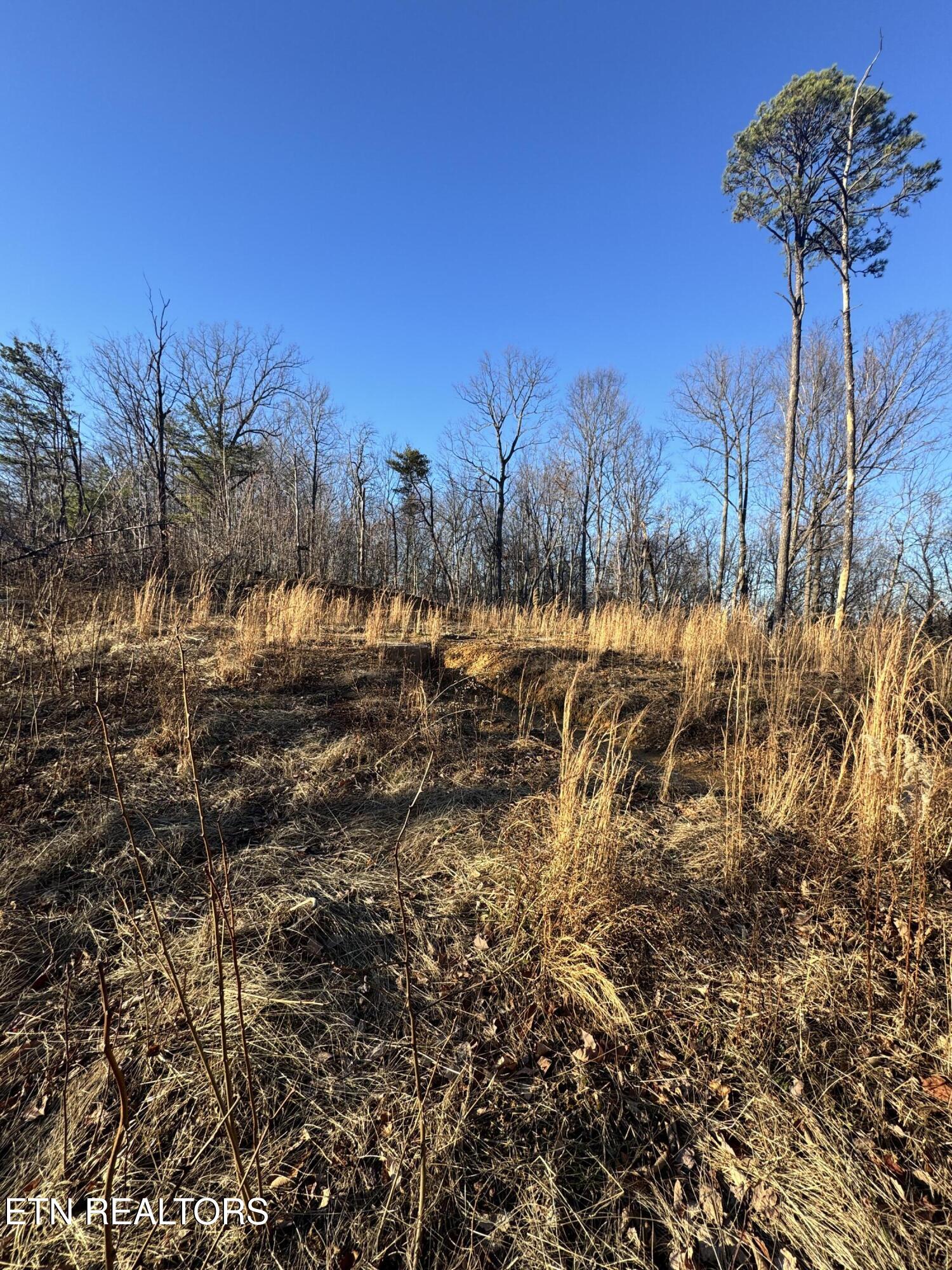 3361 Sugar Maple Loop Road Sevierville TN 37862