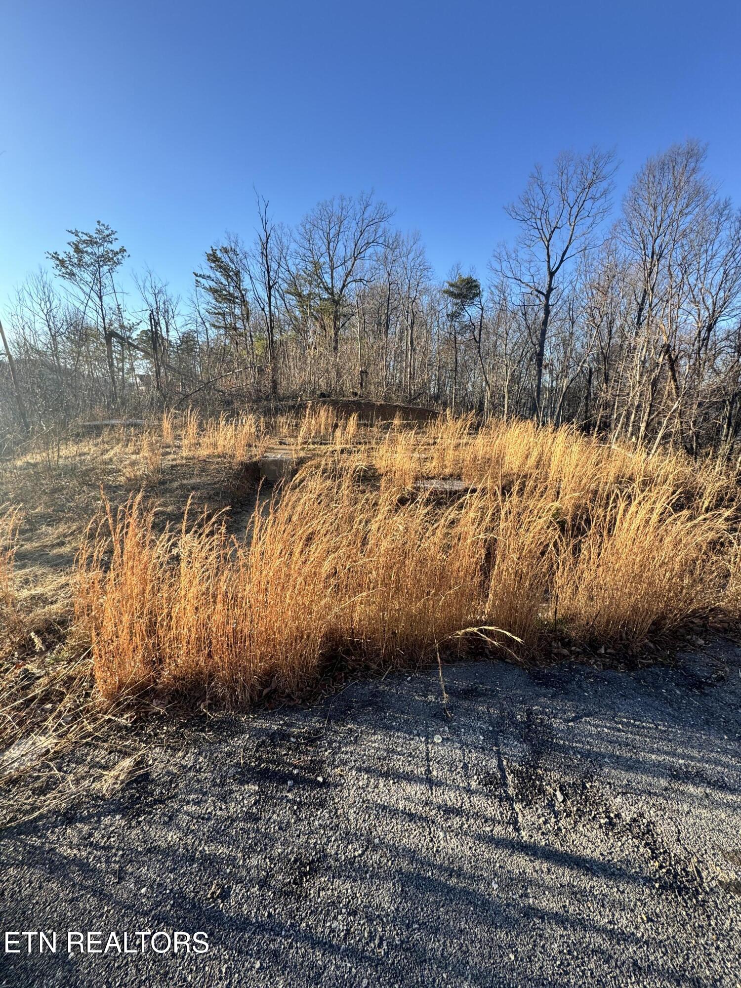 3361 Sugar Maple Loop Road Sevierville TN 37862