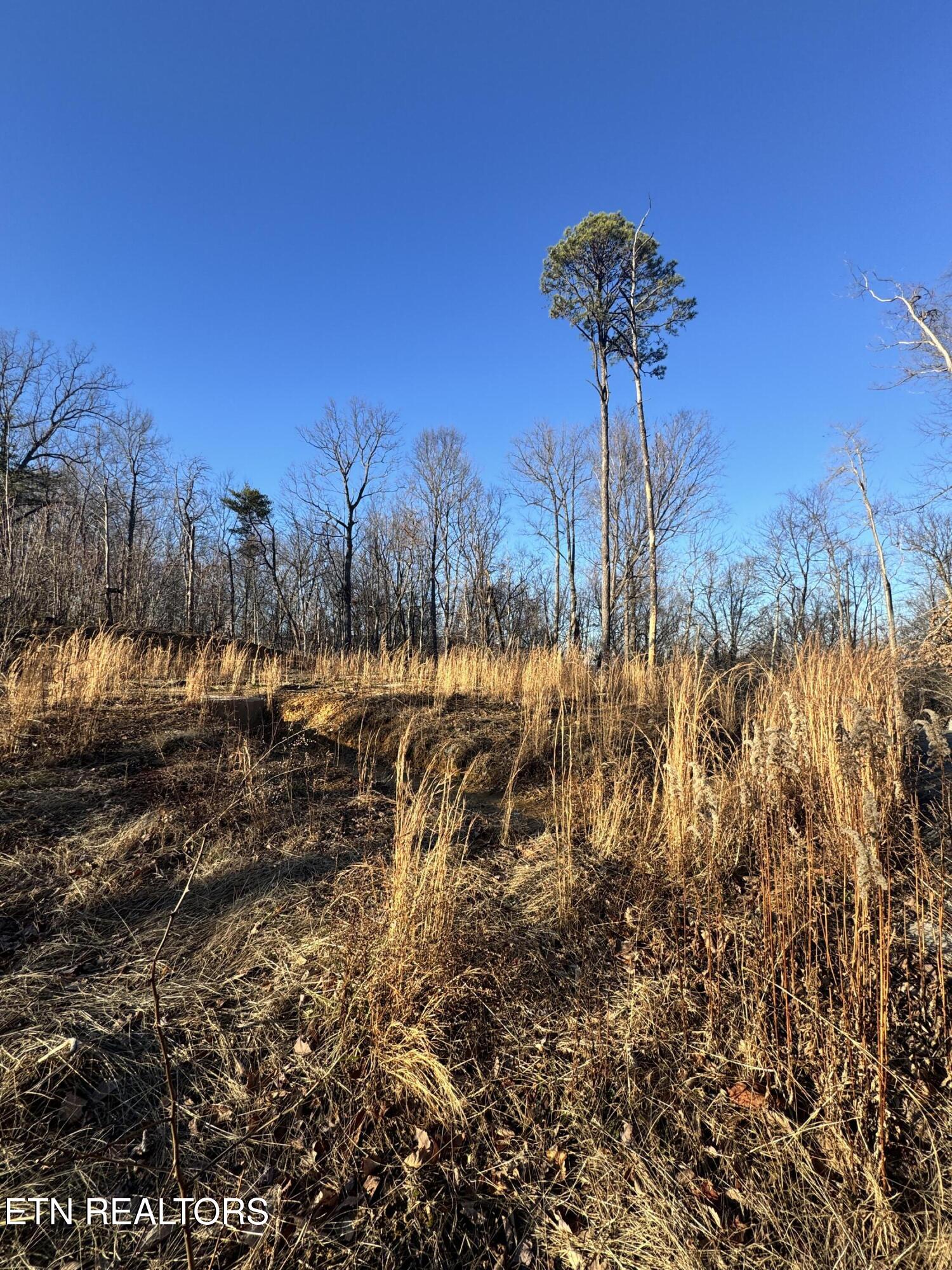 3361 Sugar Maple Loop Road Sevierville TN 37862