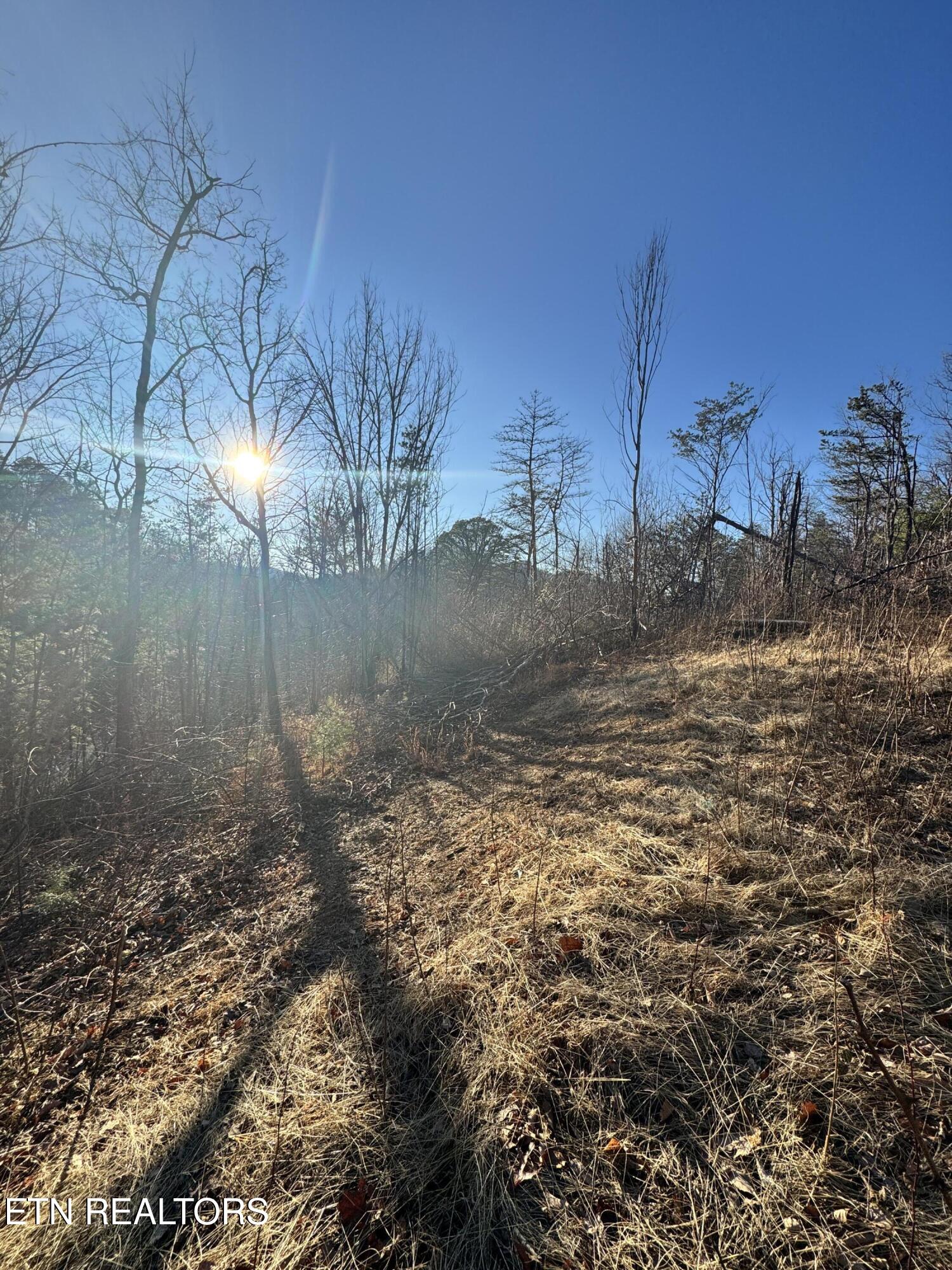 3361 Sugar Maple Loop Road Sevierville TN 37862