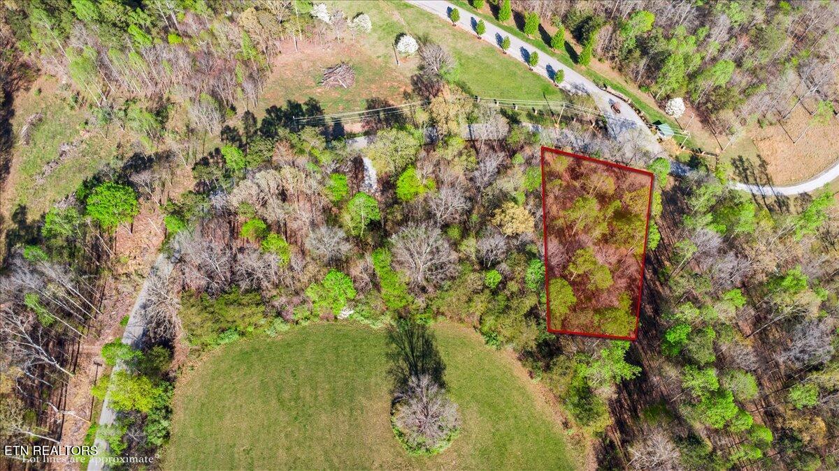 Lot 16 Demory Road Lafollette TN 37766