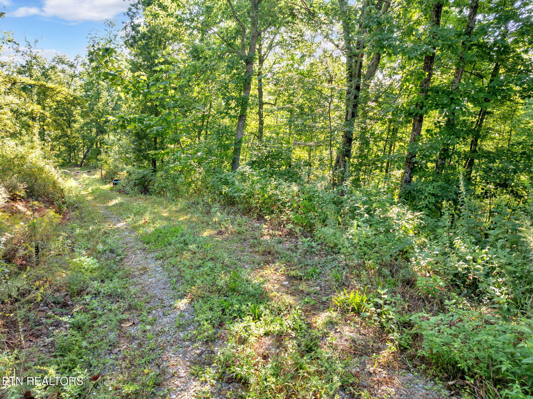 Lot Tr-1 Shell Mountain Road Sevierville TN 37876