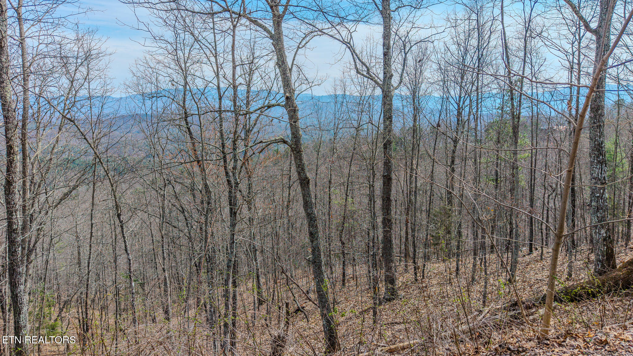 Lot Tr-1 Shell Mountain Road Sevierville TN 37876