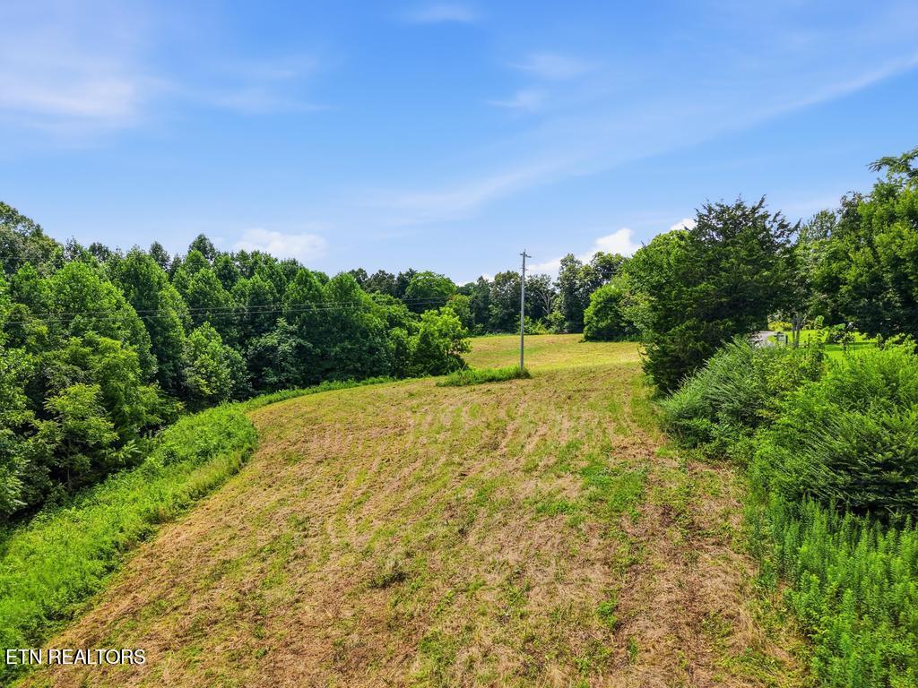 0 Freewill Ridge Road Gainesboro TN 38562