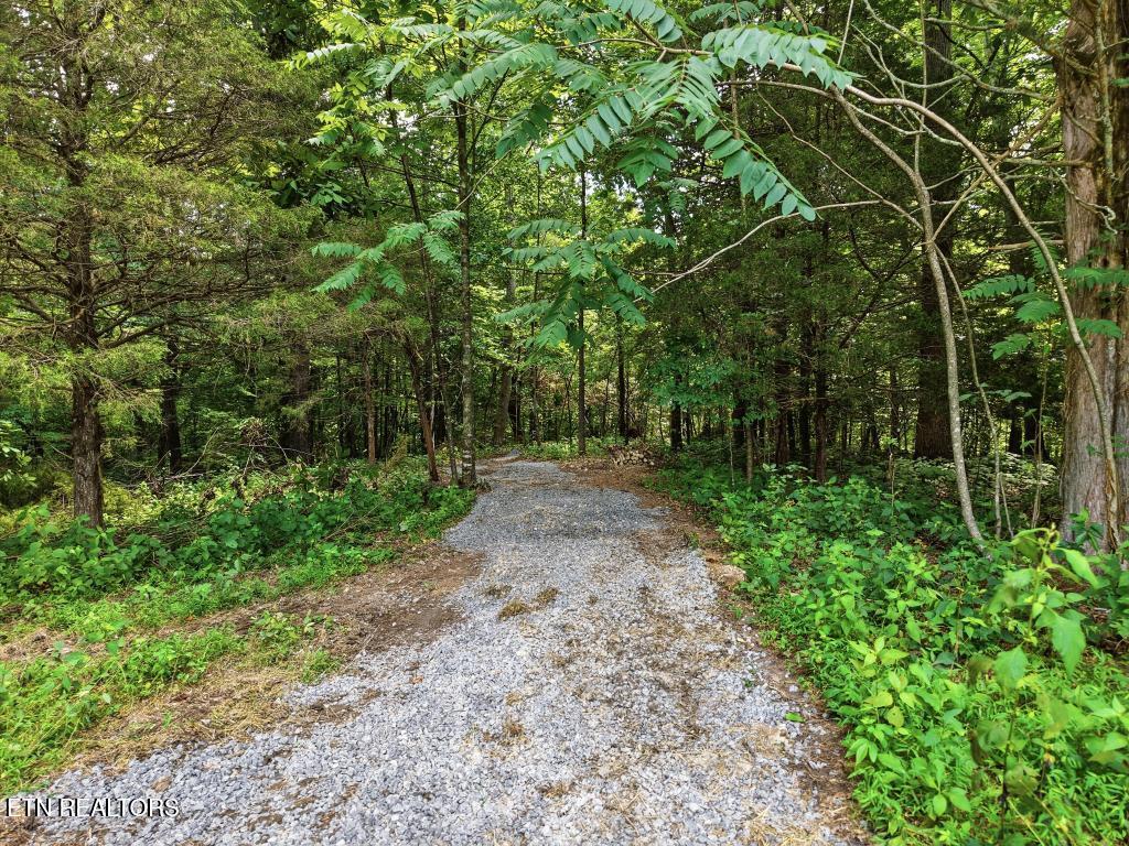 0 Freewill Ridge Road Gainesboro TN 38562
