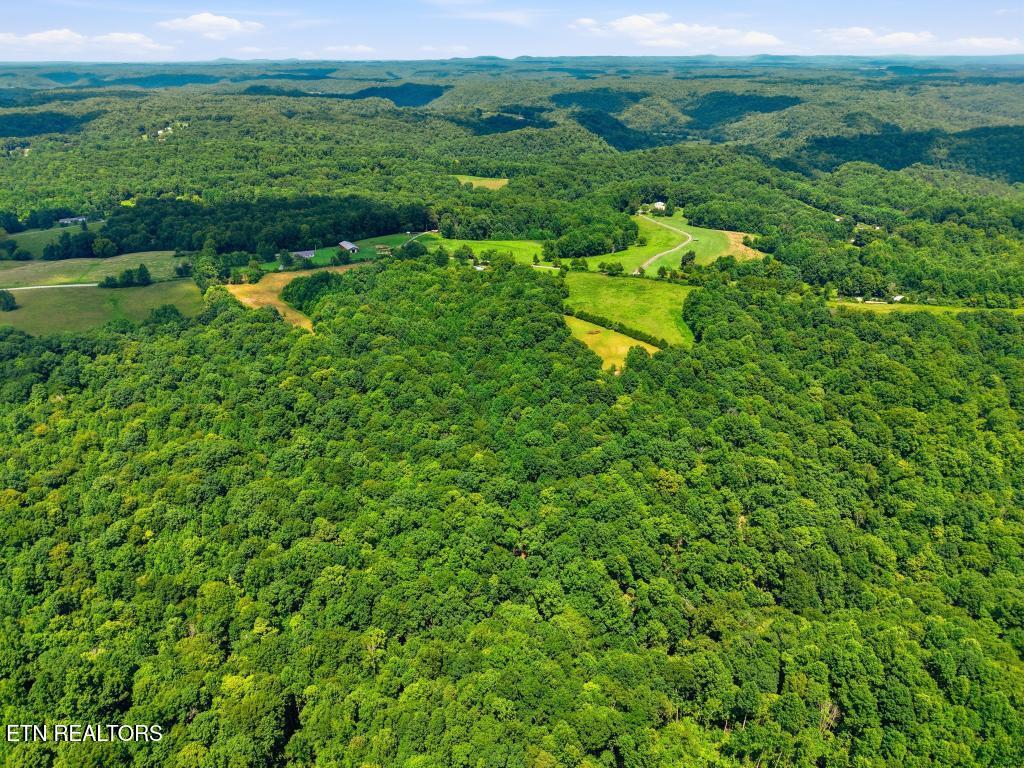 0 Freewill Ridge Road Gainesboro TN 38562