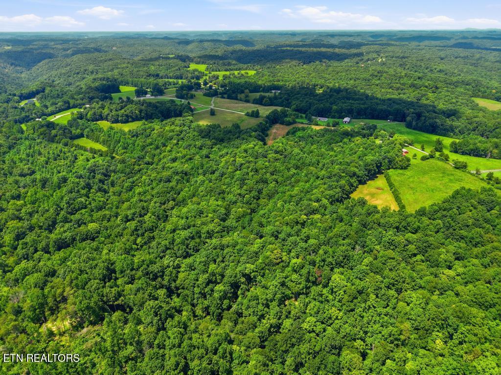 0 Freewill Ridge Road Gainesboro TN 38562