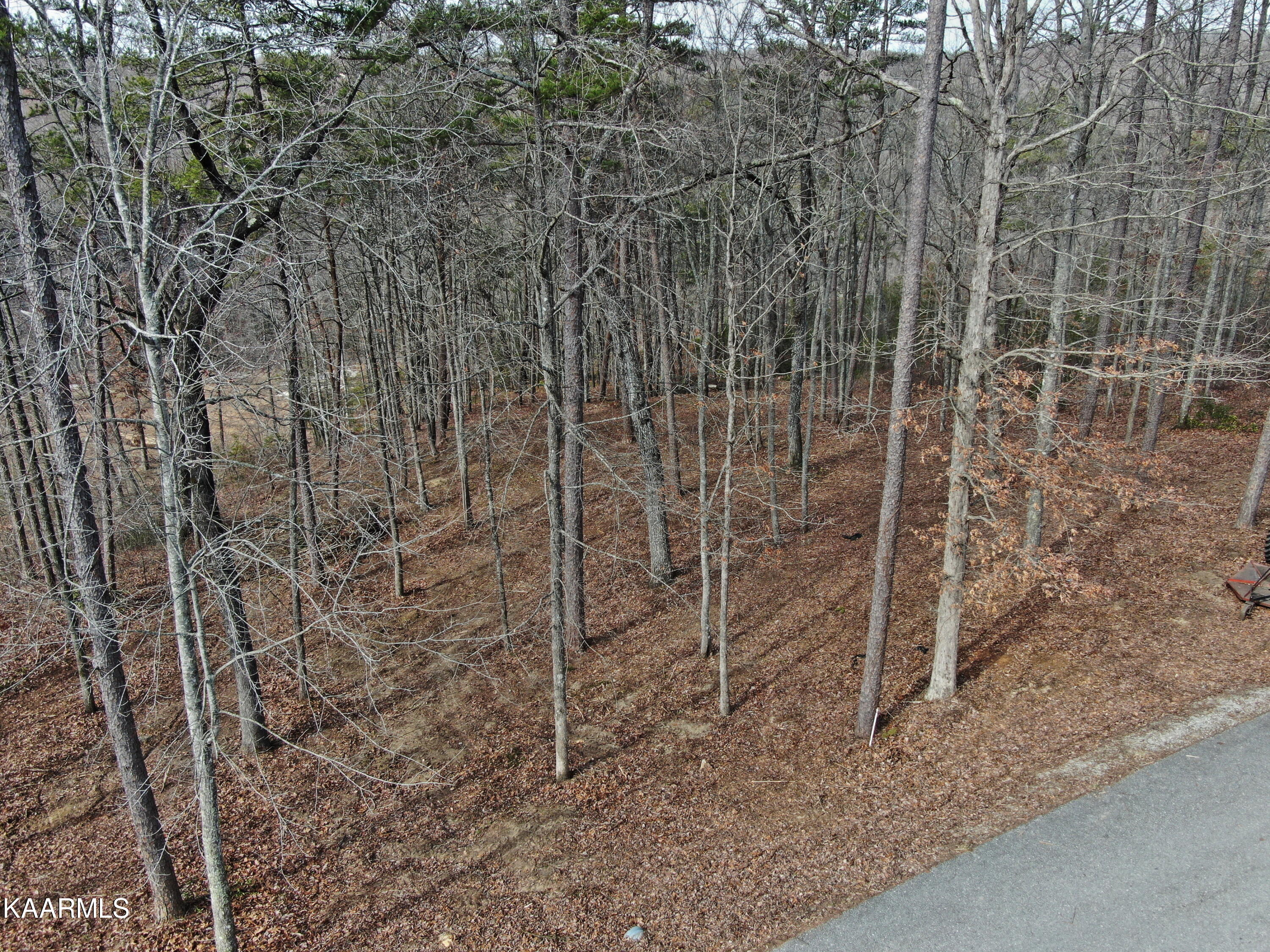 Lots 8 & 9 Eagle Bluff Jamestown TN 38556