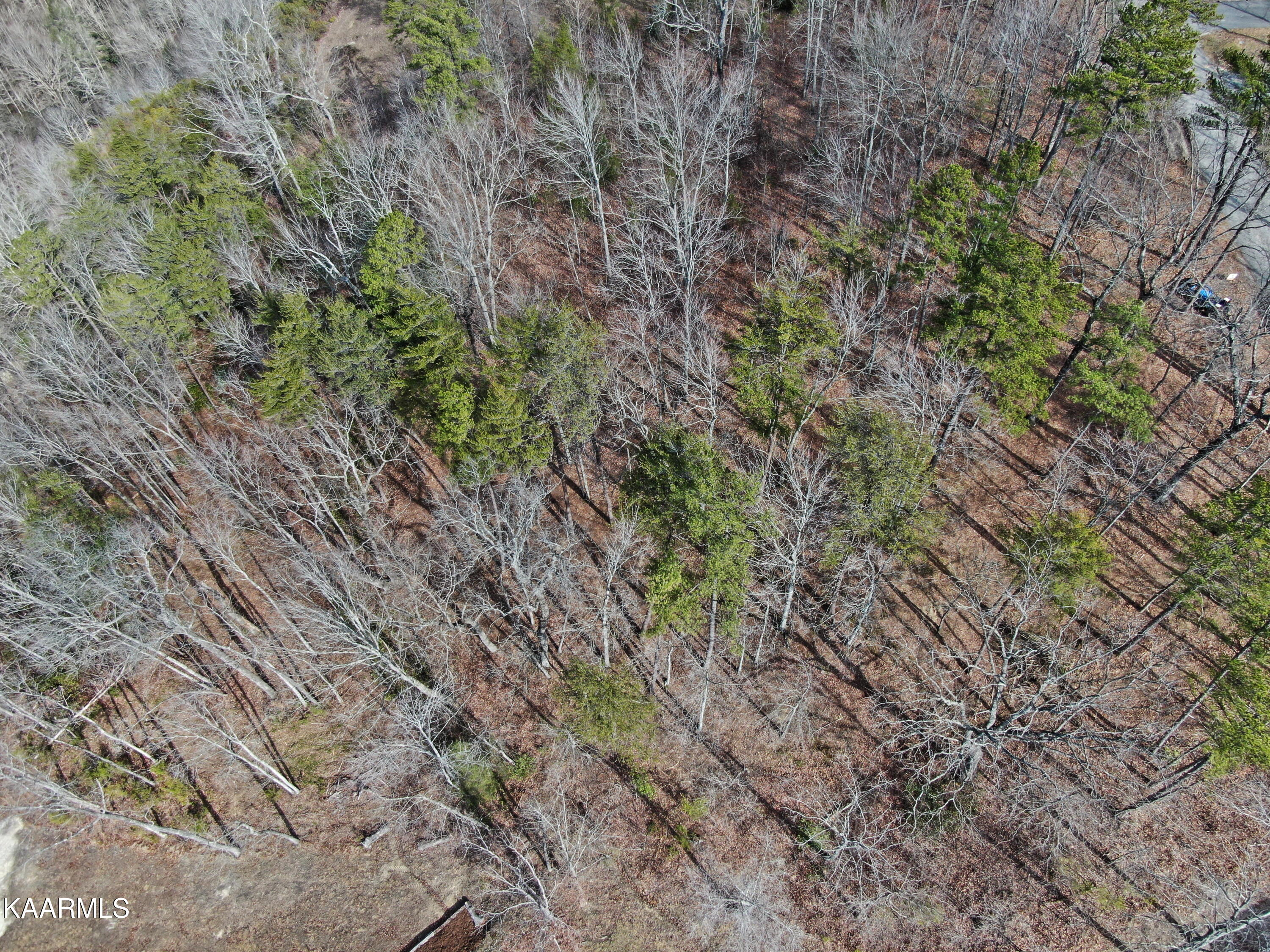 Lots 8 & 9 Eagle Bluff Jamestown TN 38556