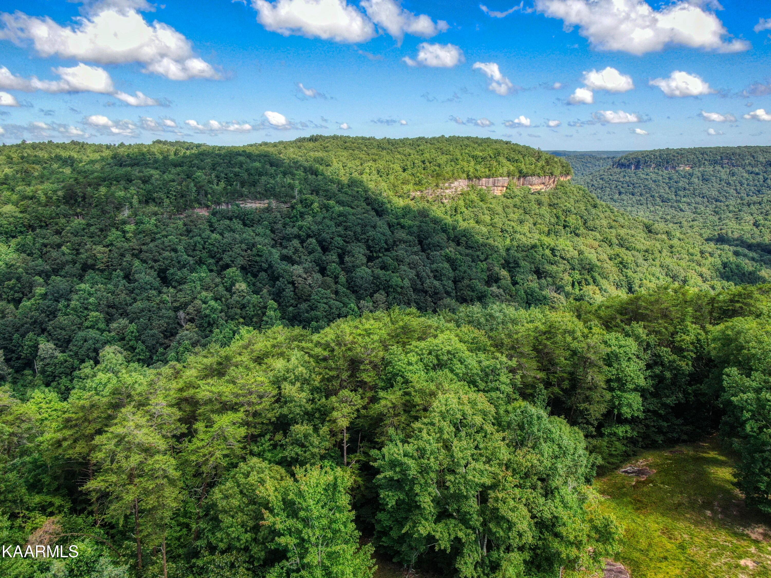 Lots 8 & 9 Eagle Bluff Jamestown TN 38556