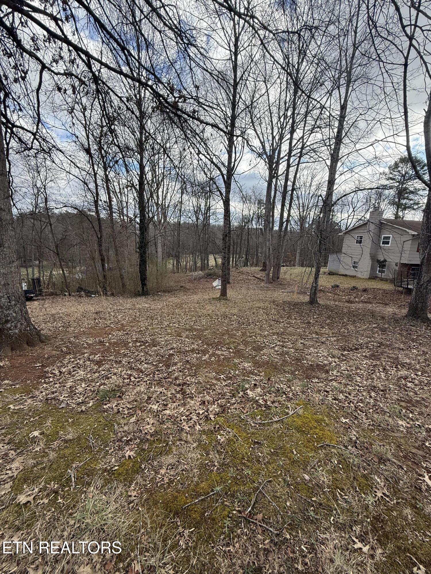 Melissa Lane Maryville TN 37801