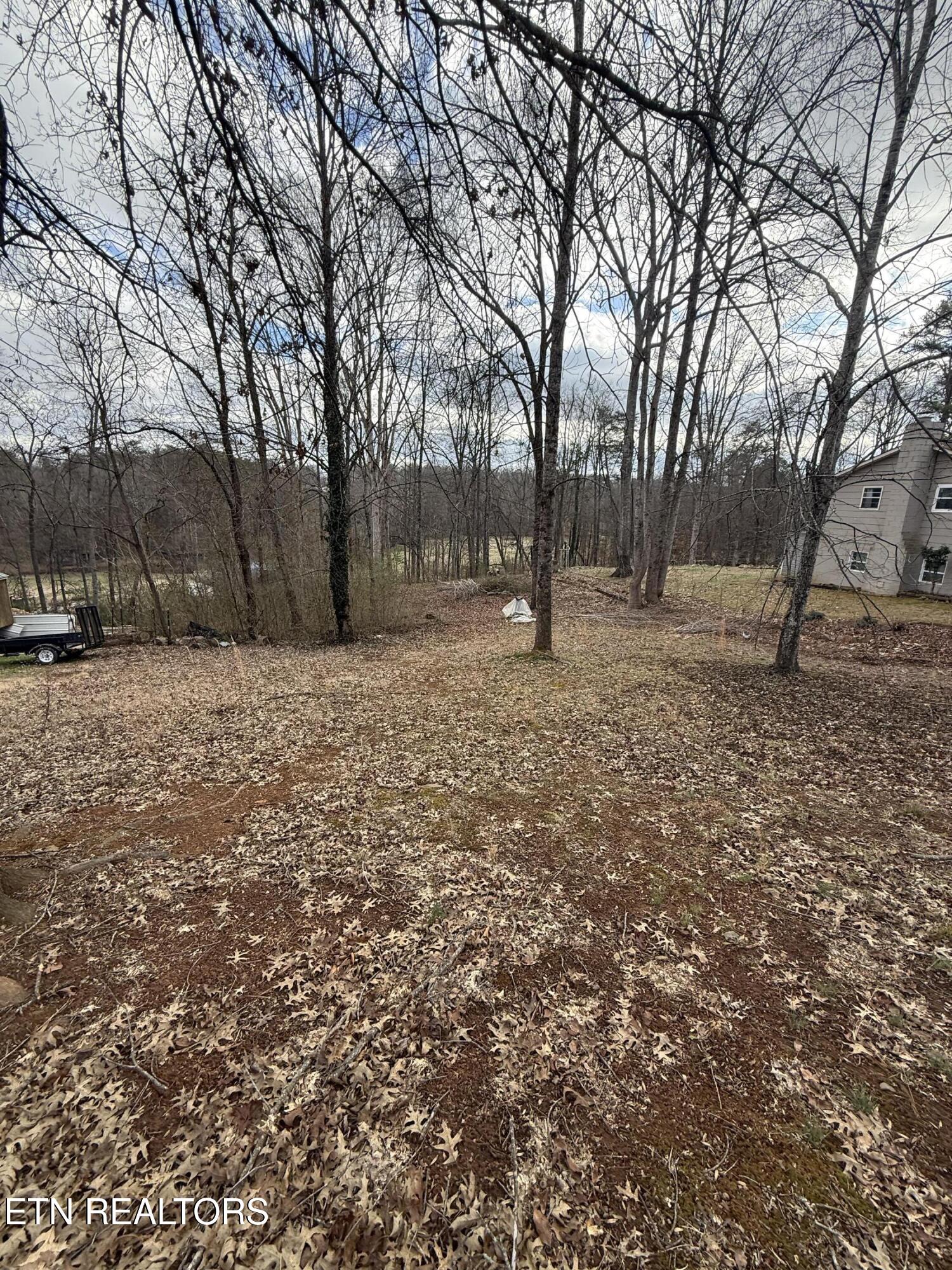 Melissa Lane Maryville TN 37801