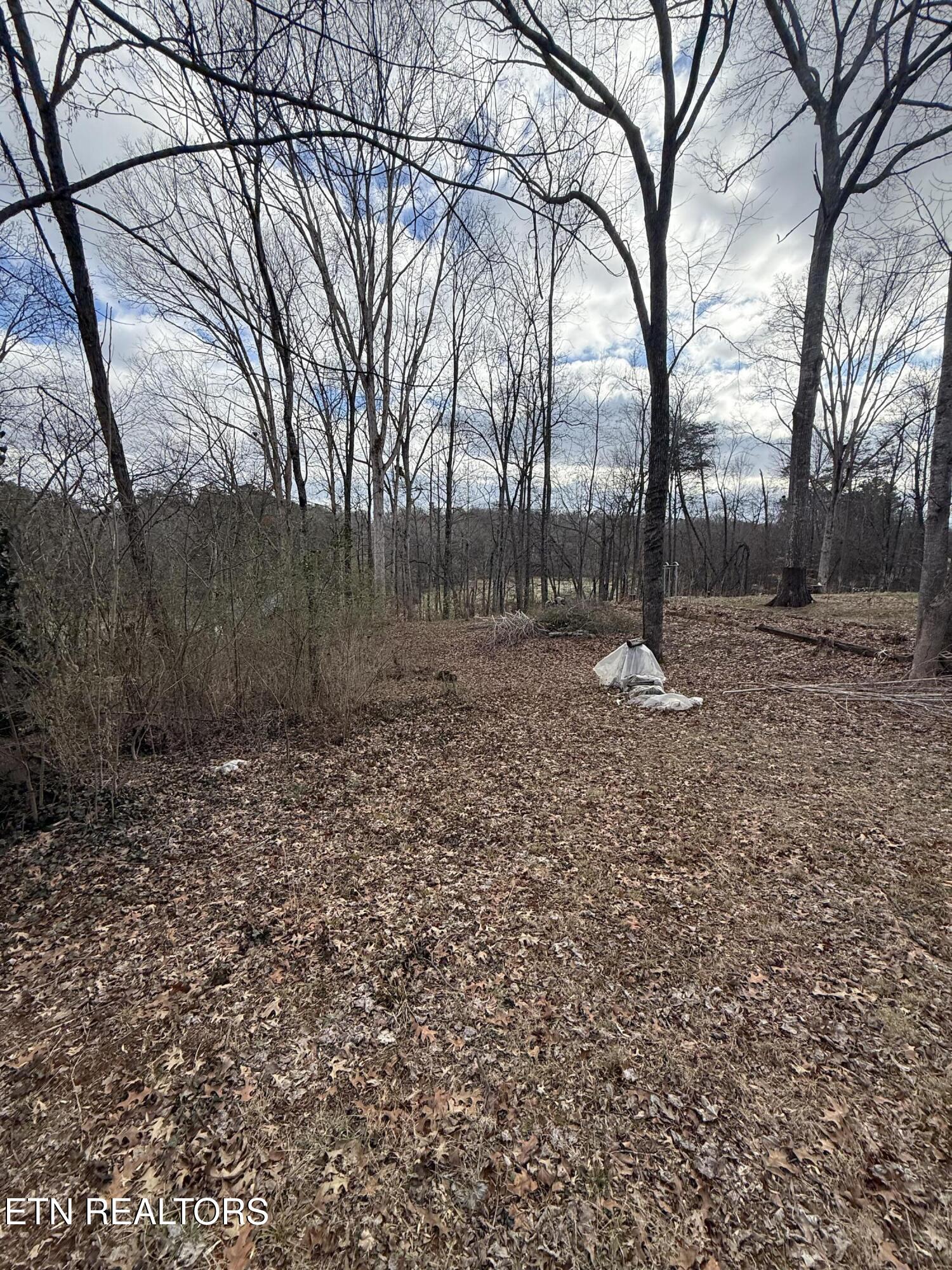Melissa Lane Maryville TN 37801