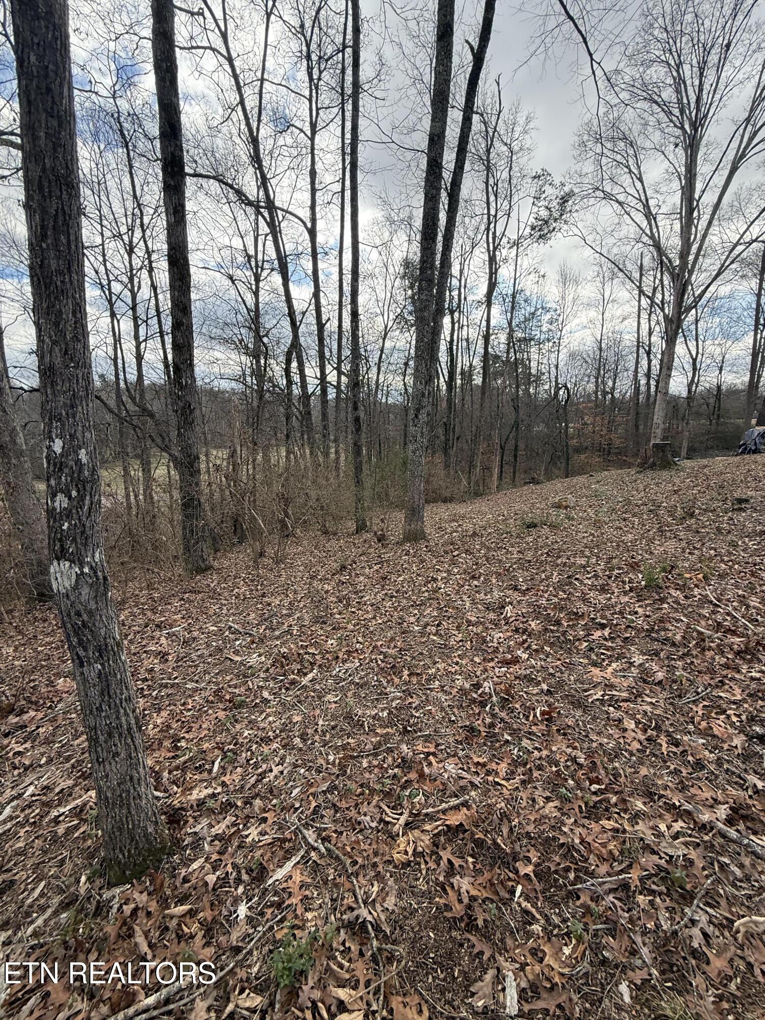Melissa Lane Maryville TN 37801