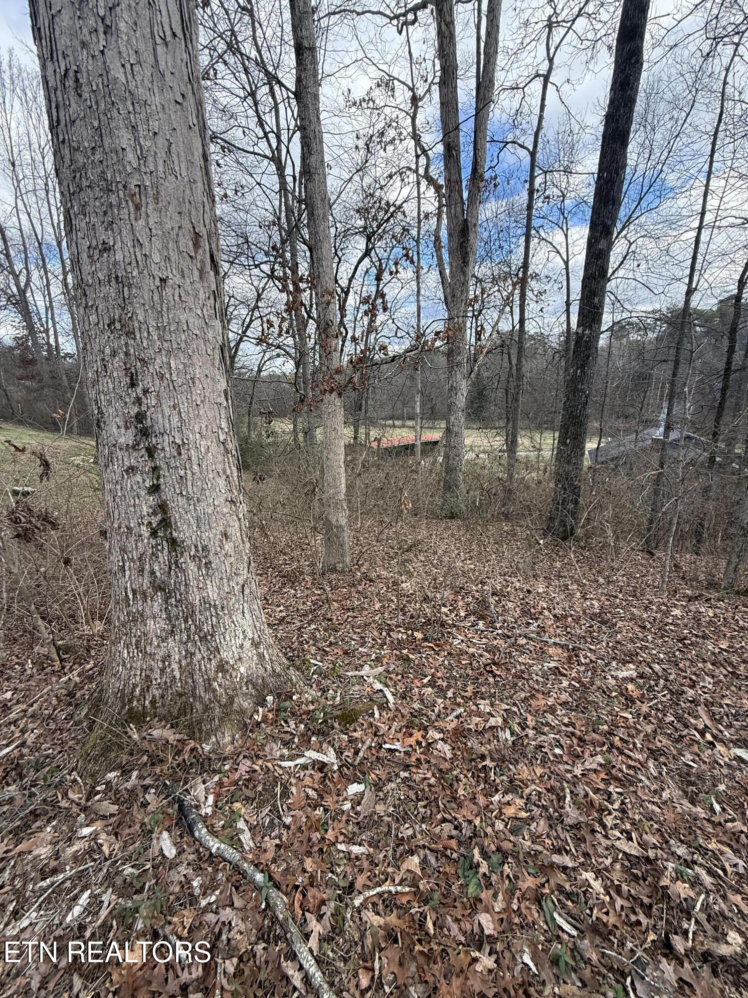 Melissa Lane Maryville TN 37801