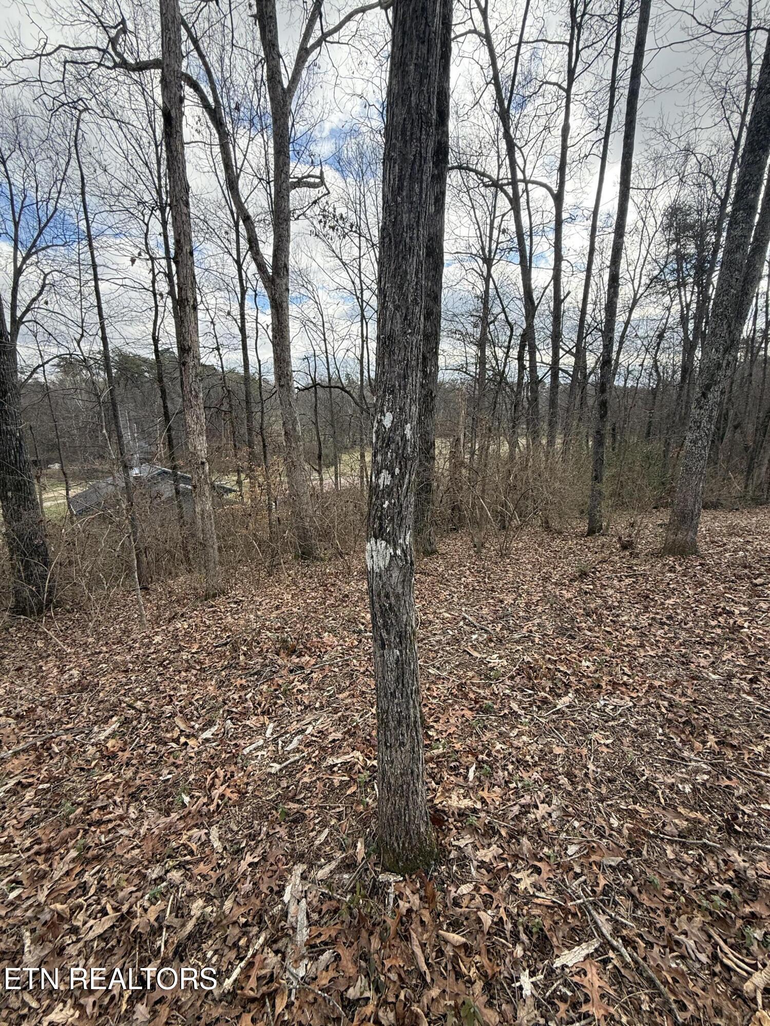 Melissa Lane Maryville TN 37801
