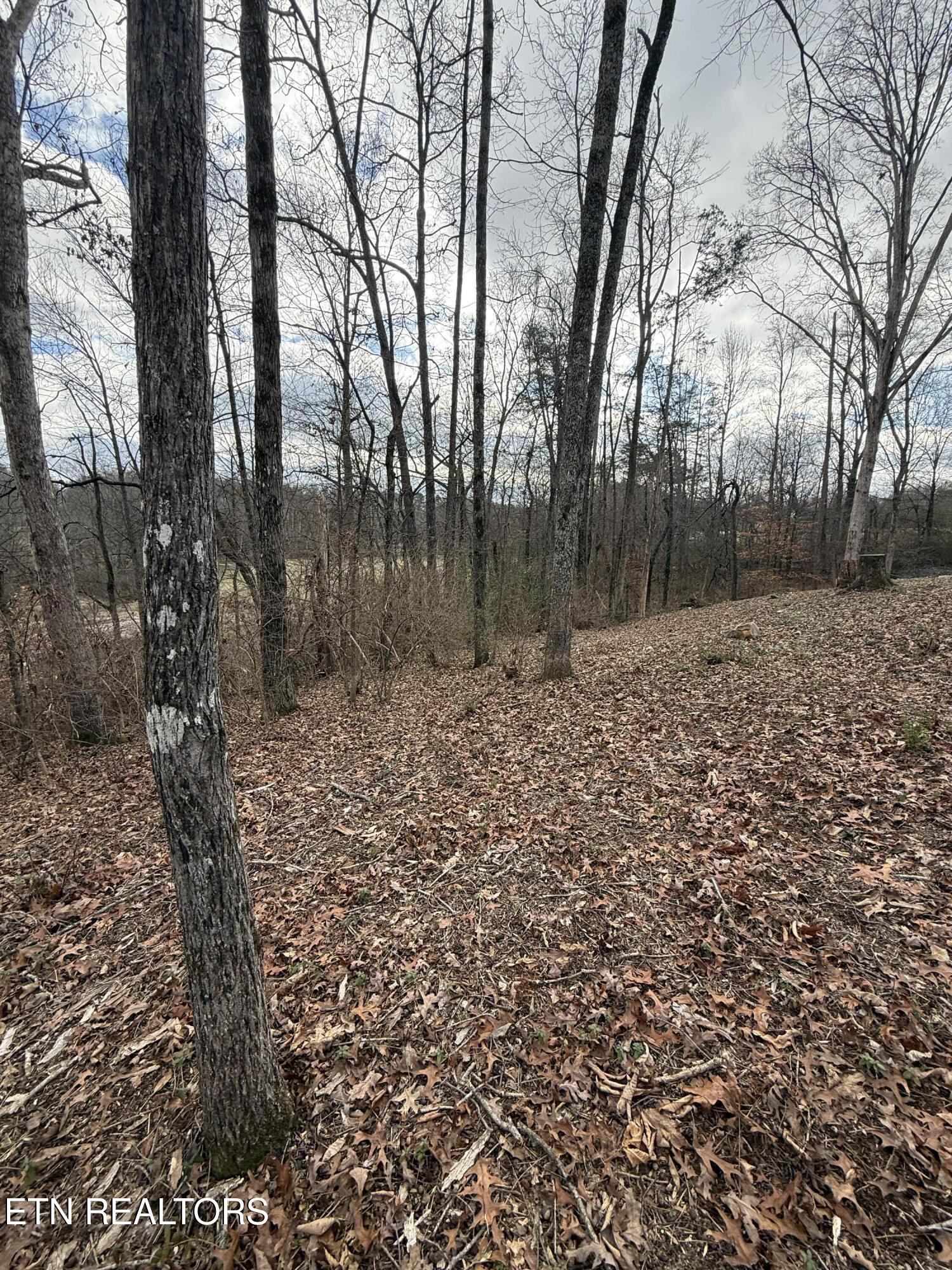 Melissa Lane Maryville TN 37801
