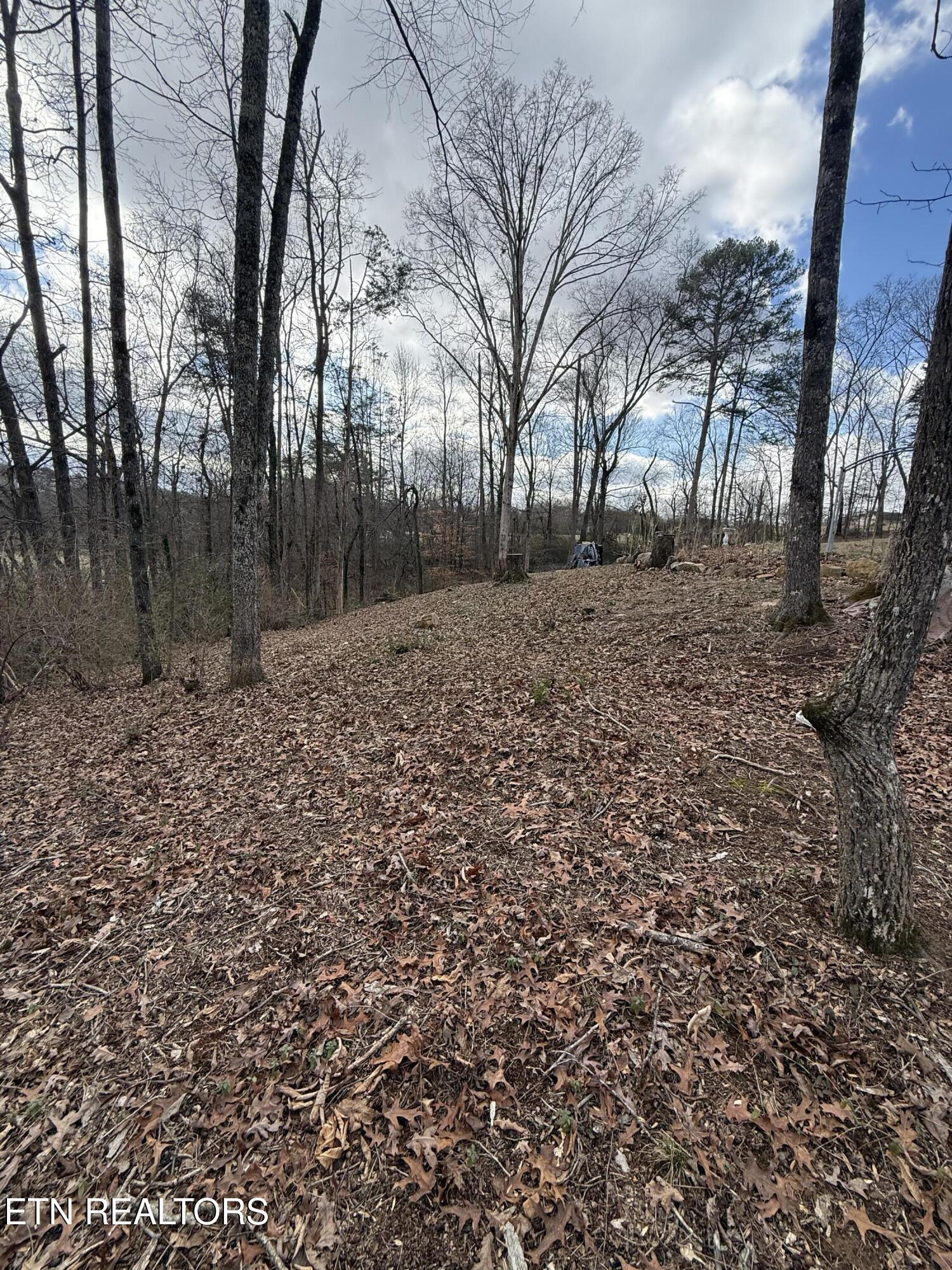 Melissa Lane Maryville TN 37801
