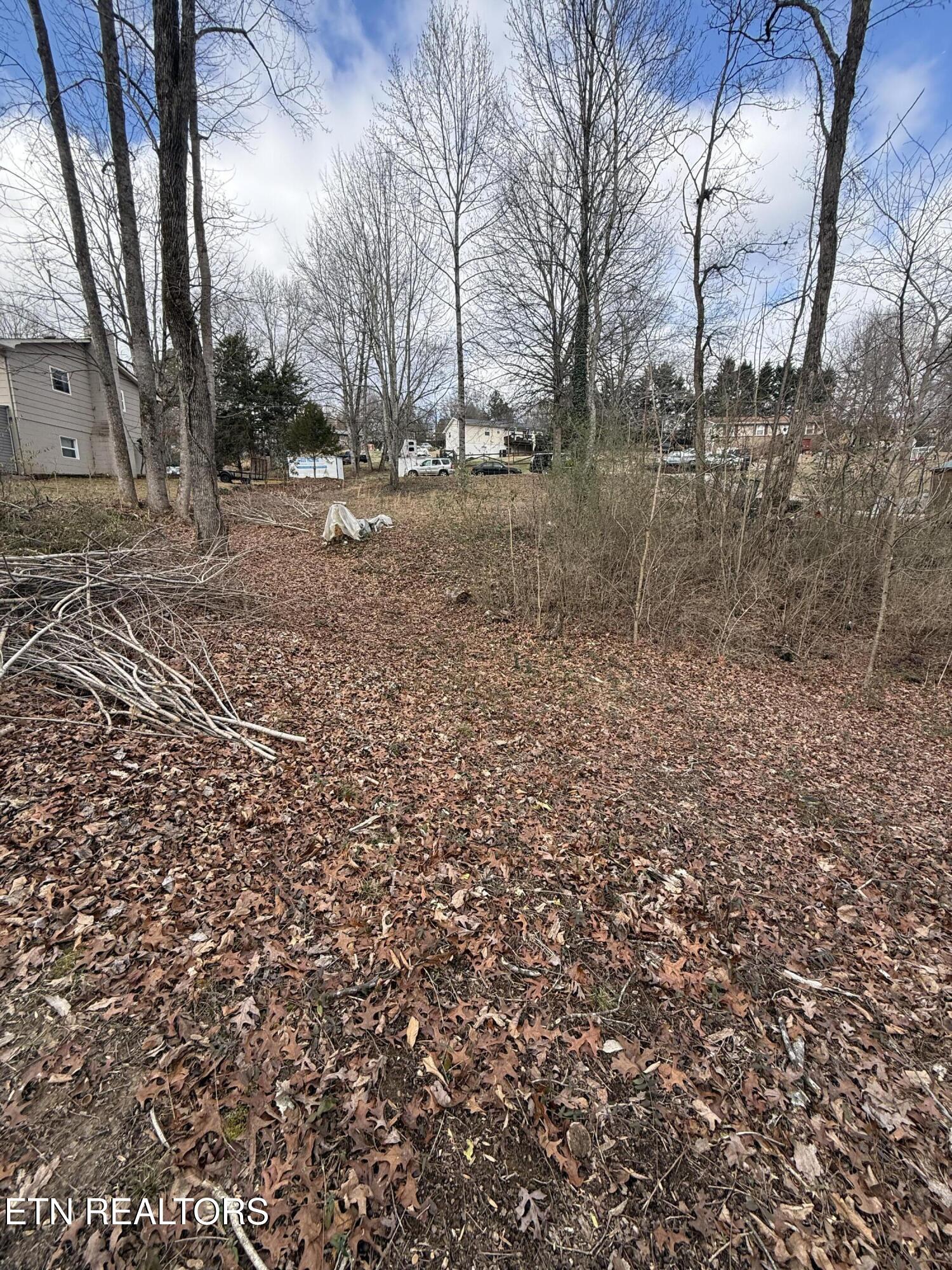 Melissa Lane Maryville TN 37801