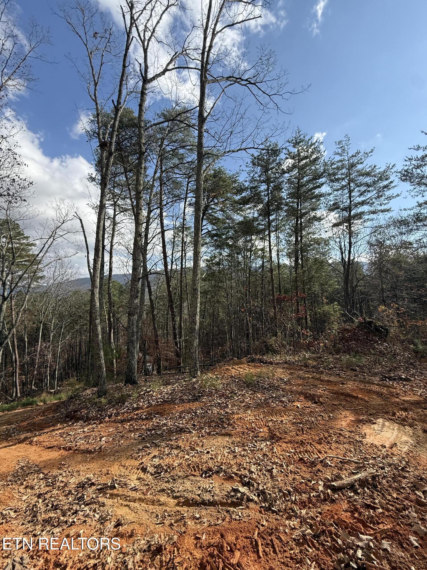 Lot 1 Parksville Road Benton TN 37307