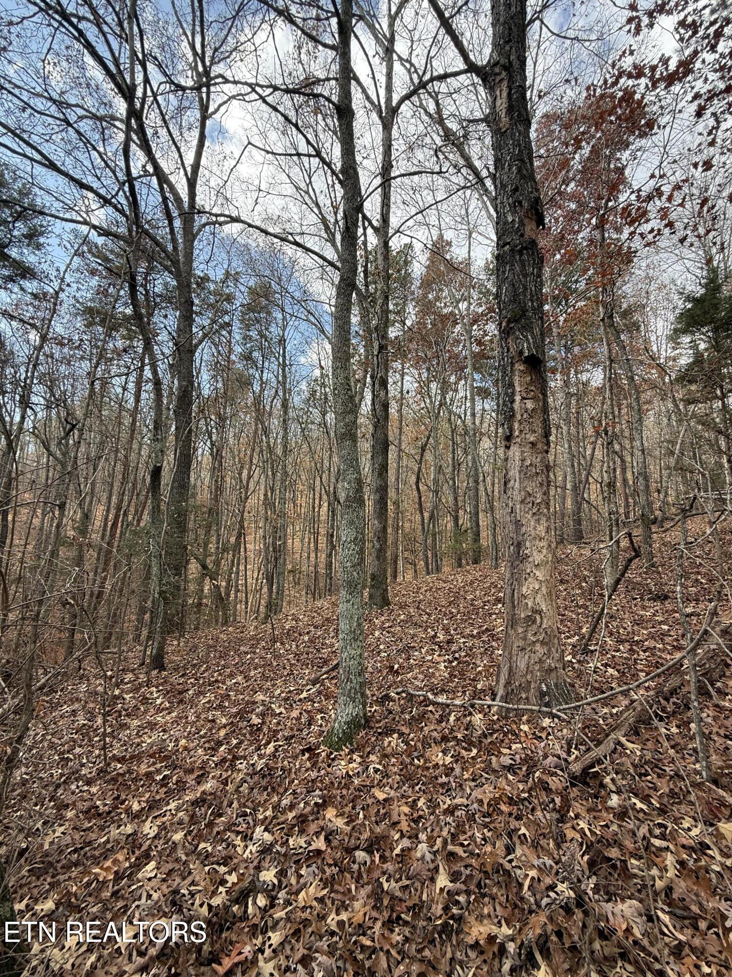 Lot 1 Parksville Road Benton TN 37307