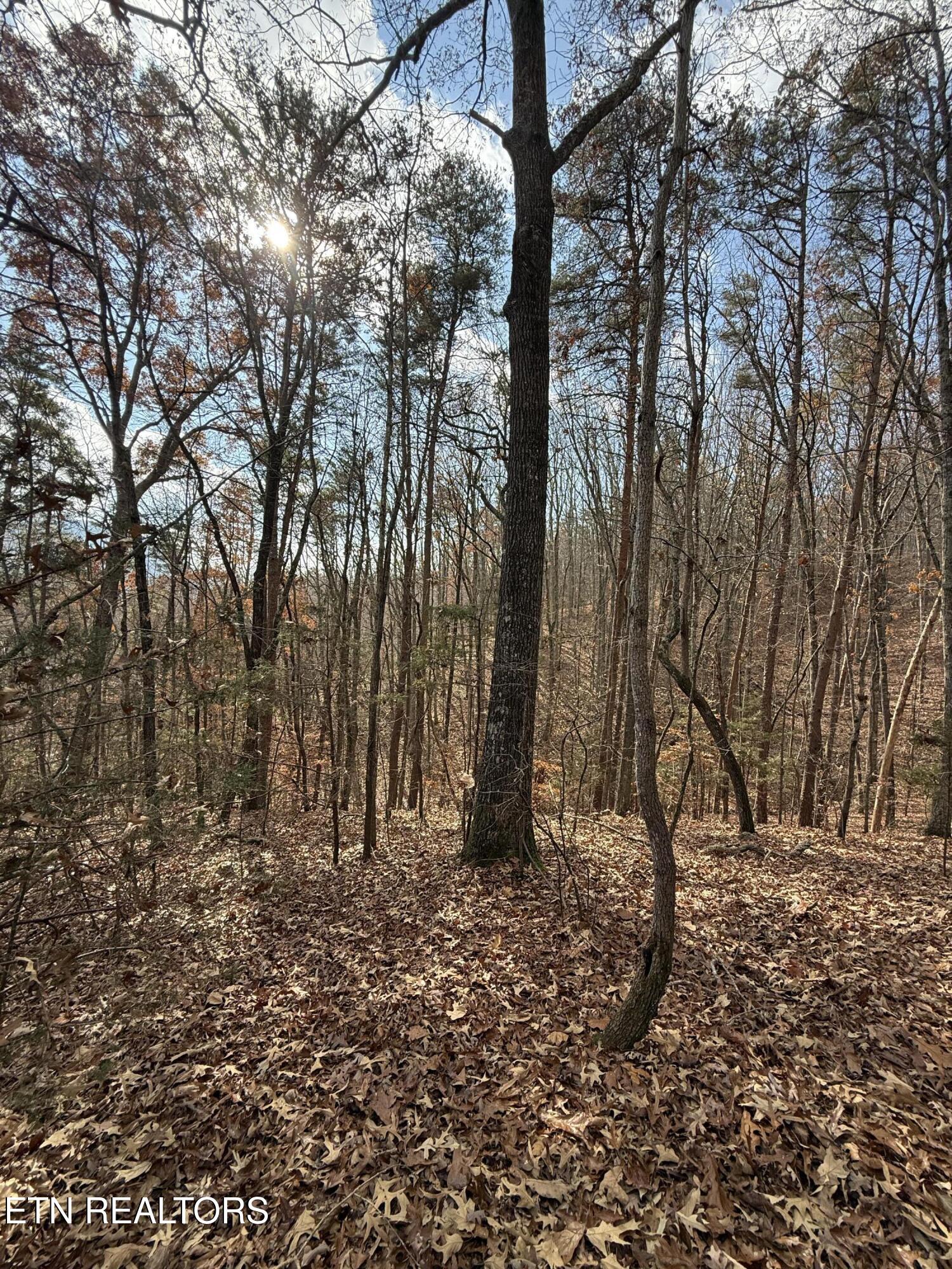Lot 1 Parksville Road Benton TN 37307