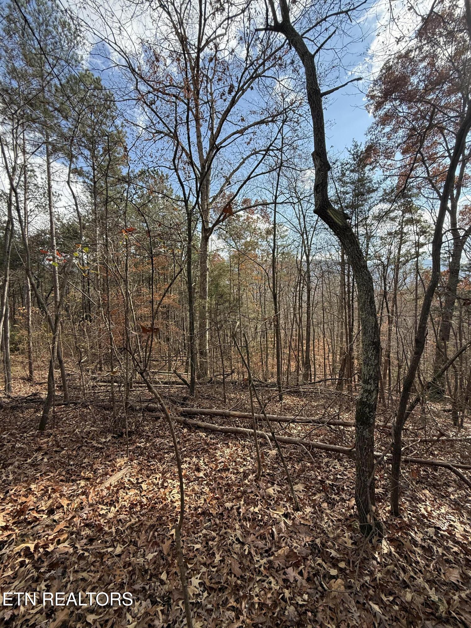 Lot 1 Parksville Road Benton TN 37307