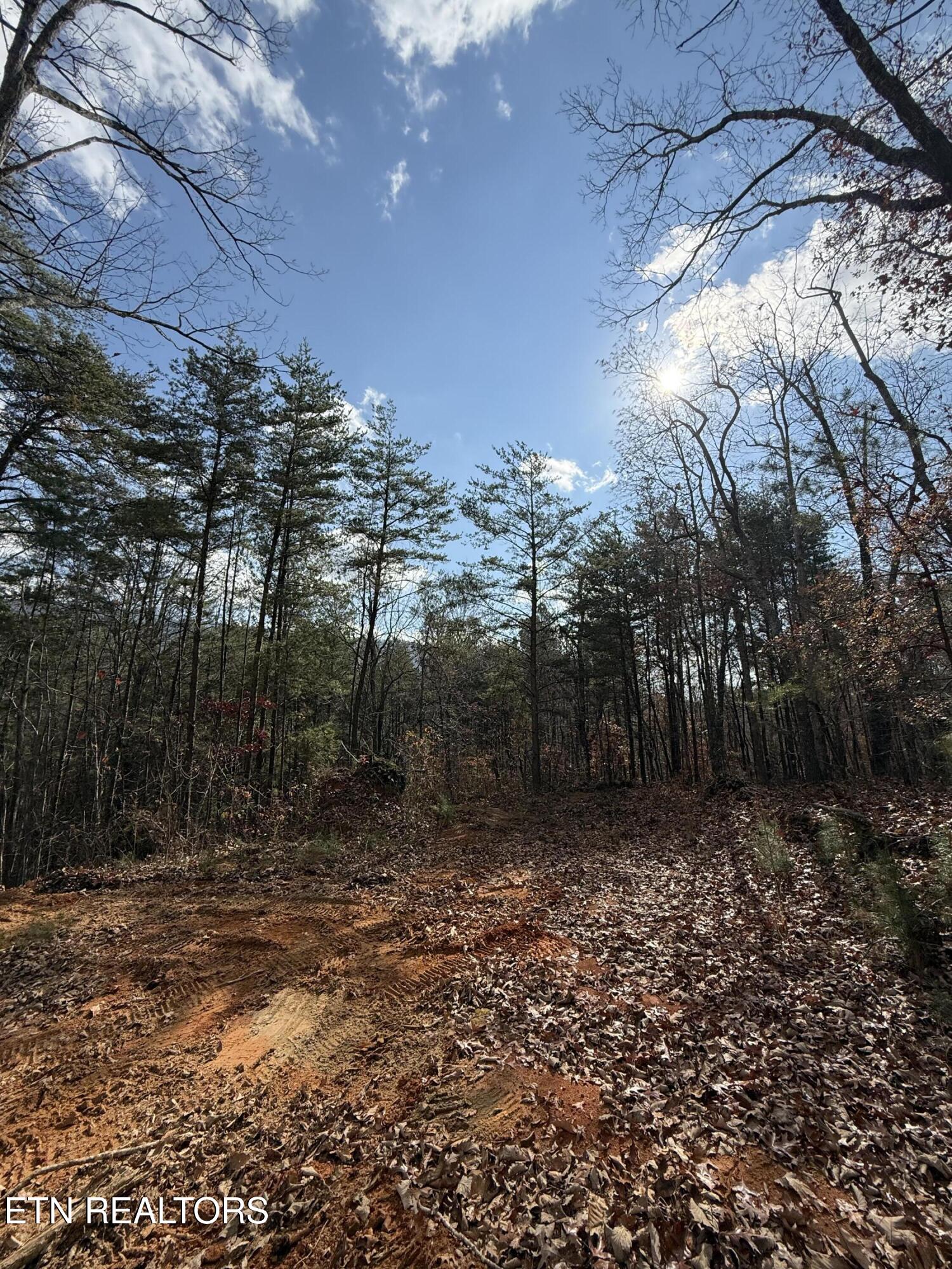 Lot 1 Parksville Road Benton TN 37307
