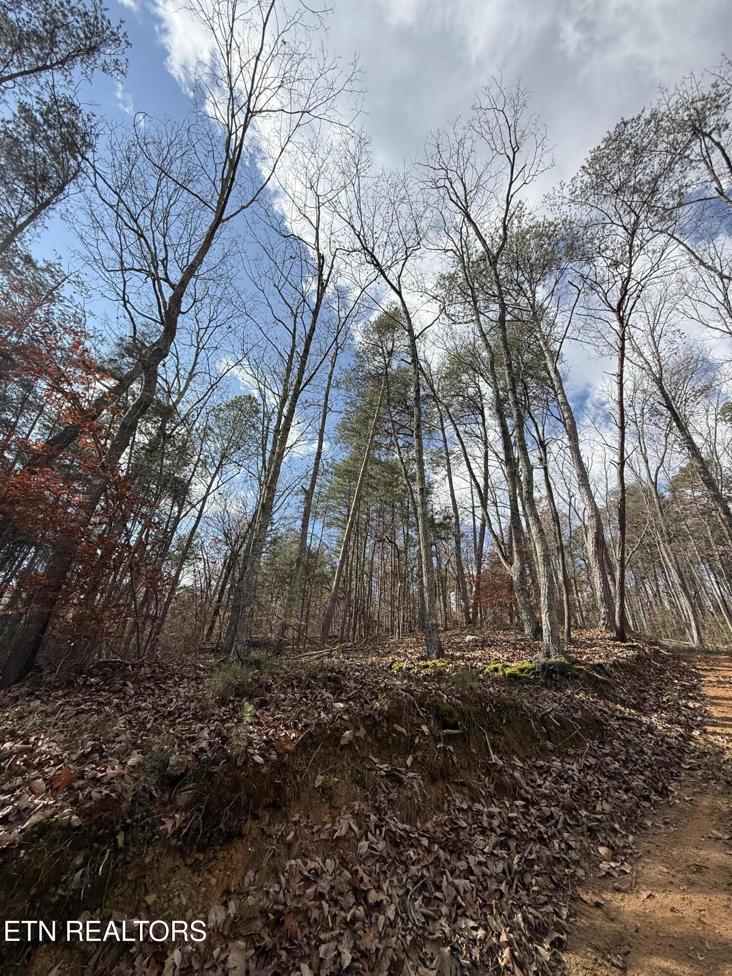 Lot 1 Parksville Road Benton TN 37307