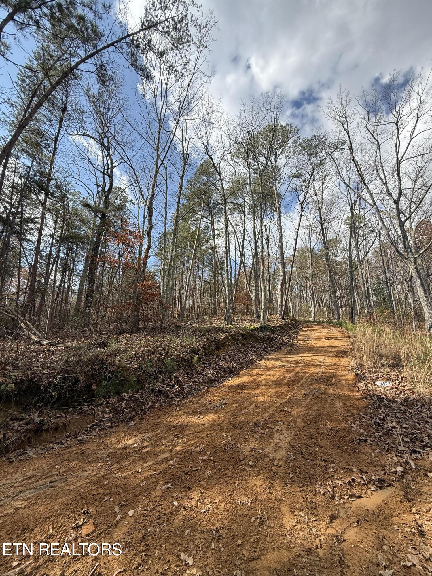 Lot 1 Parksville Road Benton TN 37307