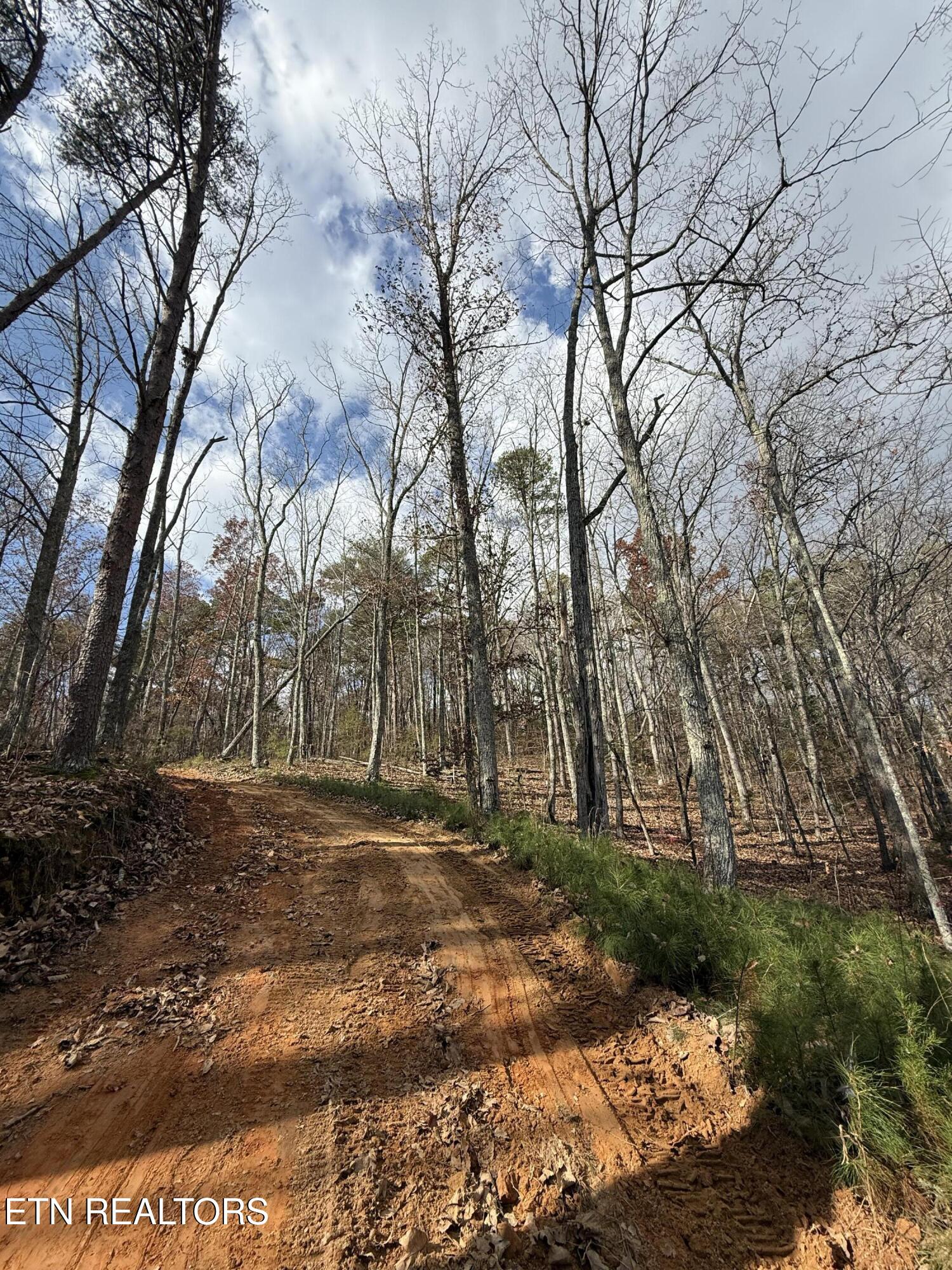 Lot 1 Parksville Road Benton TN 37307