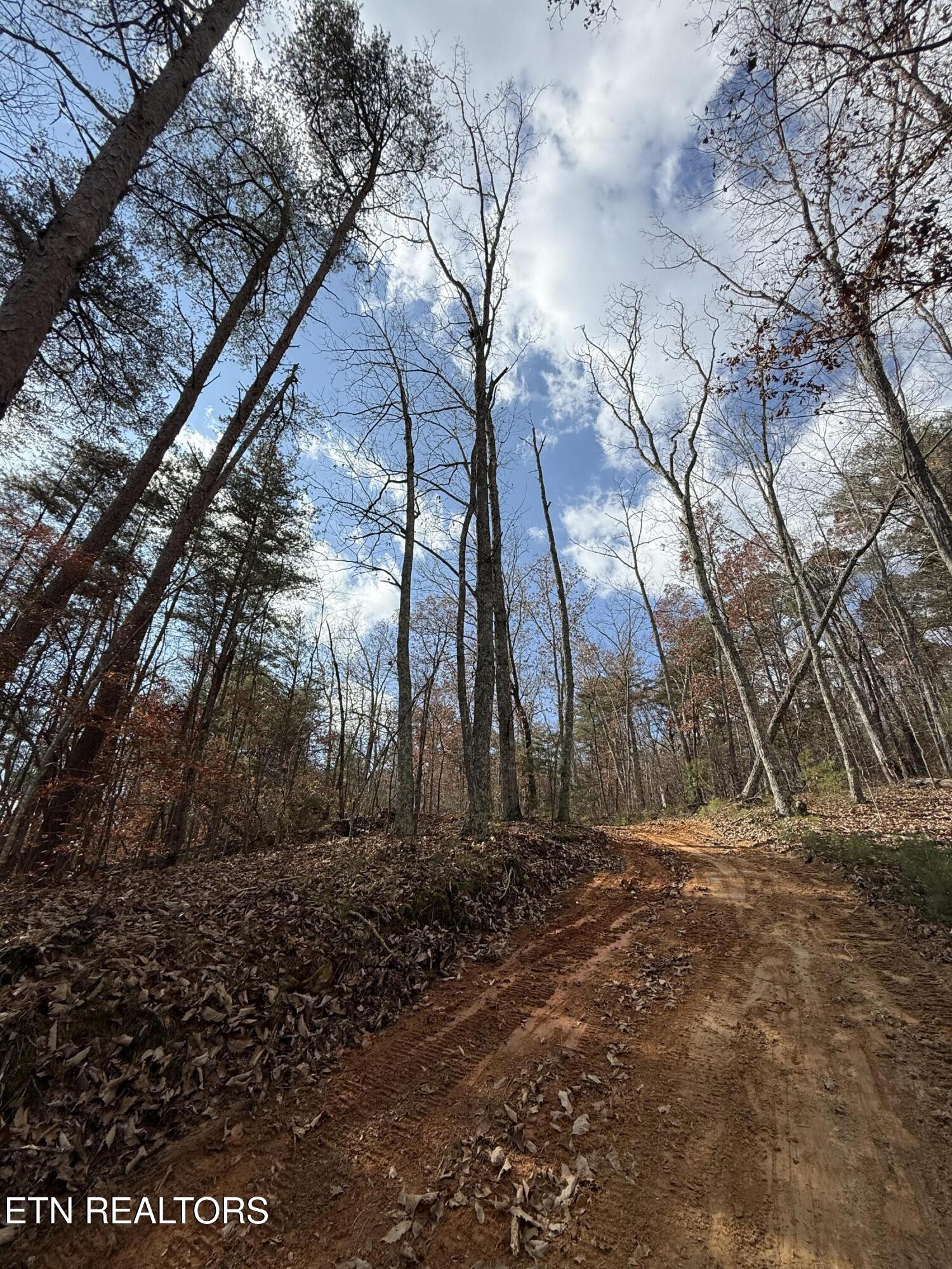Lot 1 Parksville Road Benton TN 37307