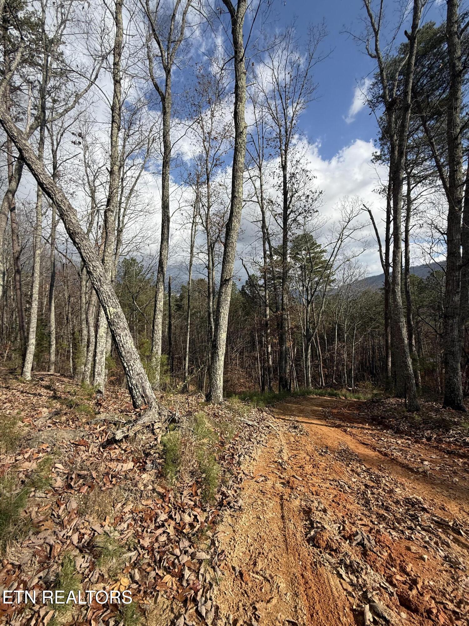 Lot 1 Parksville Road Benton TN 37307