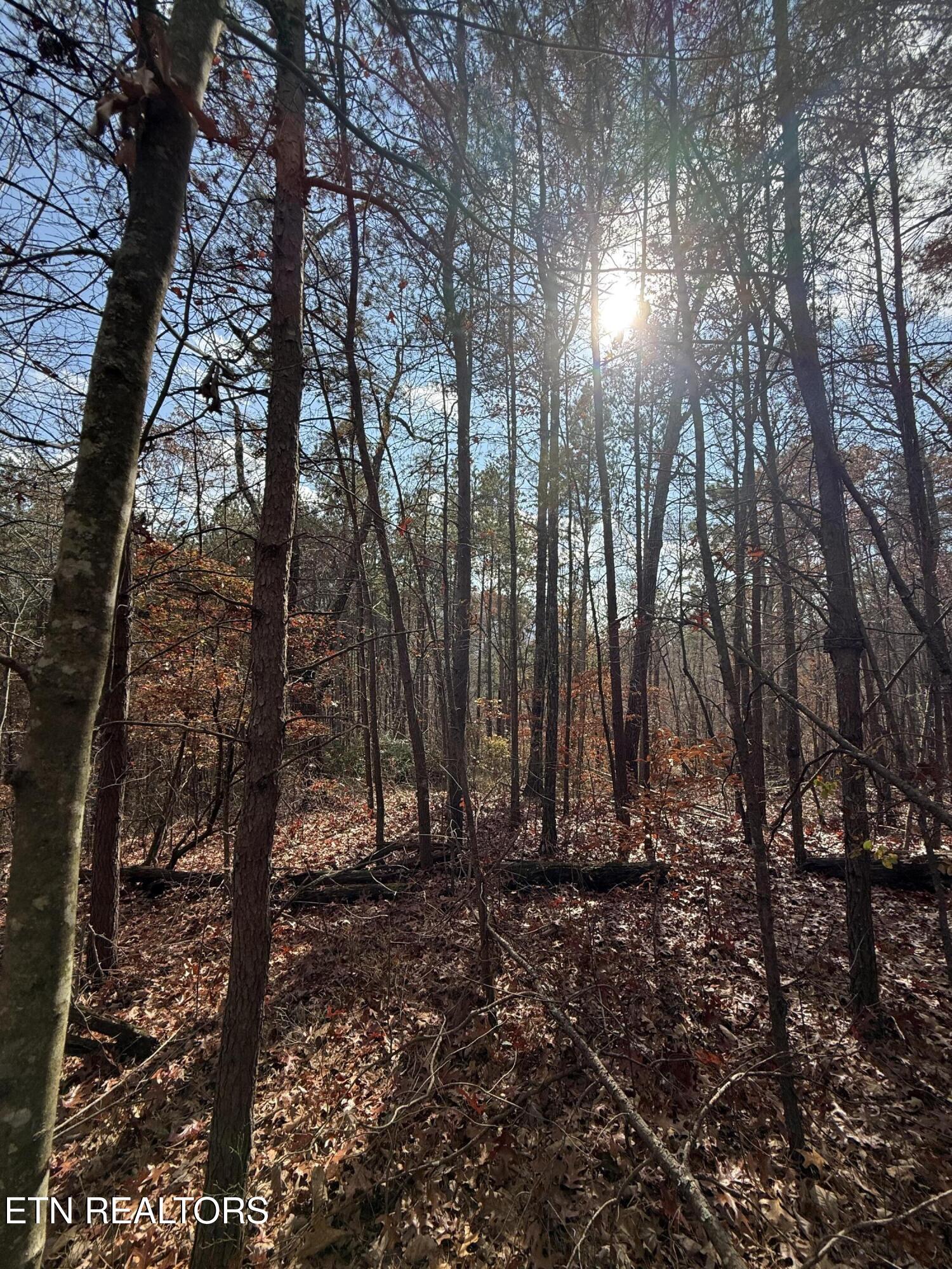 Lot 1 Parksville Road Benton TN 37307