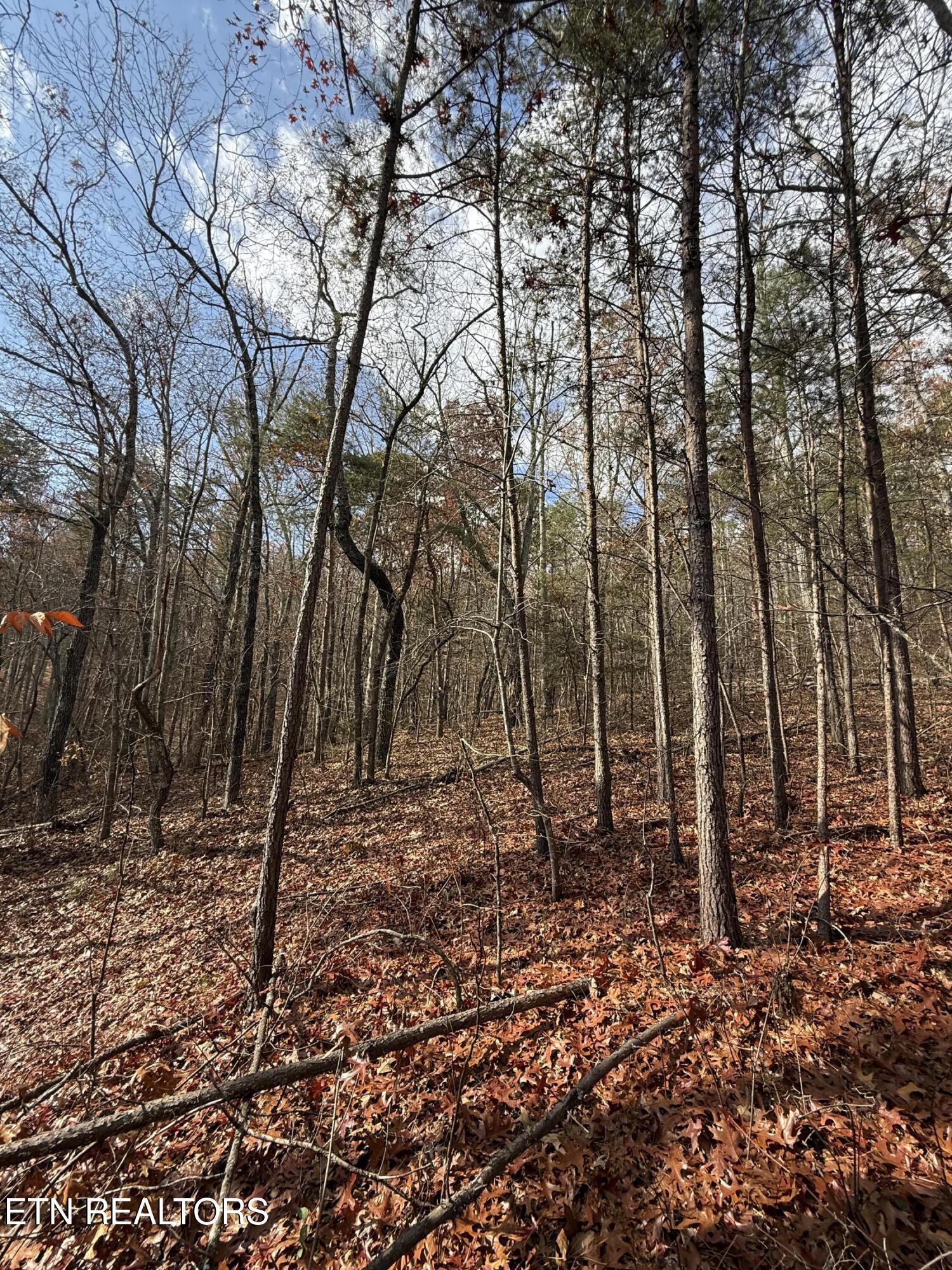 Lot 1 Parksville Road Benton TN 37307