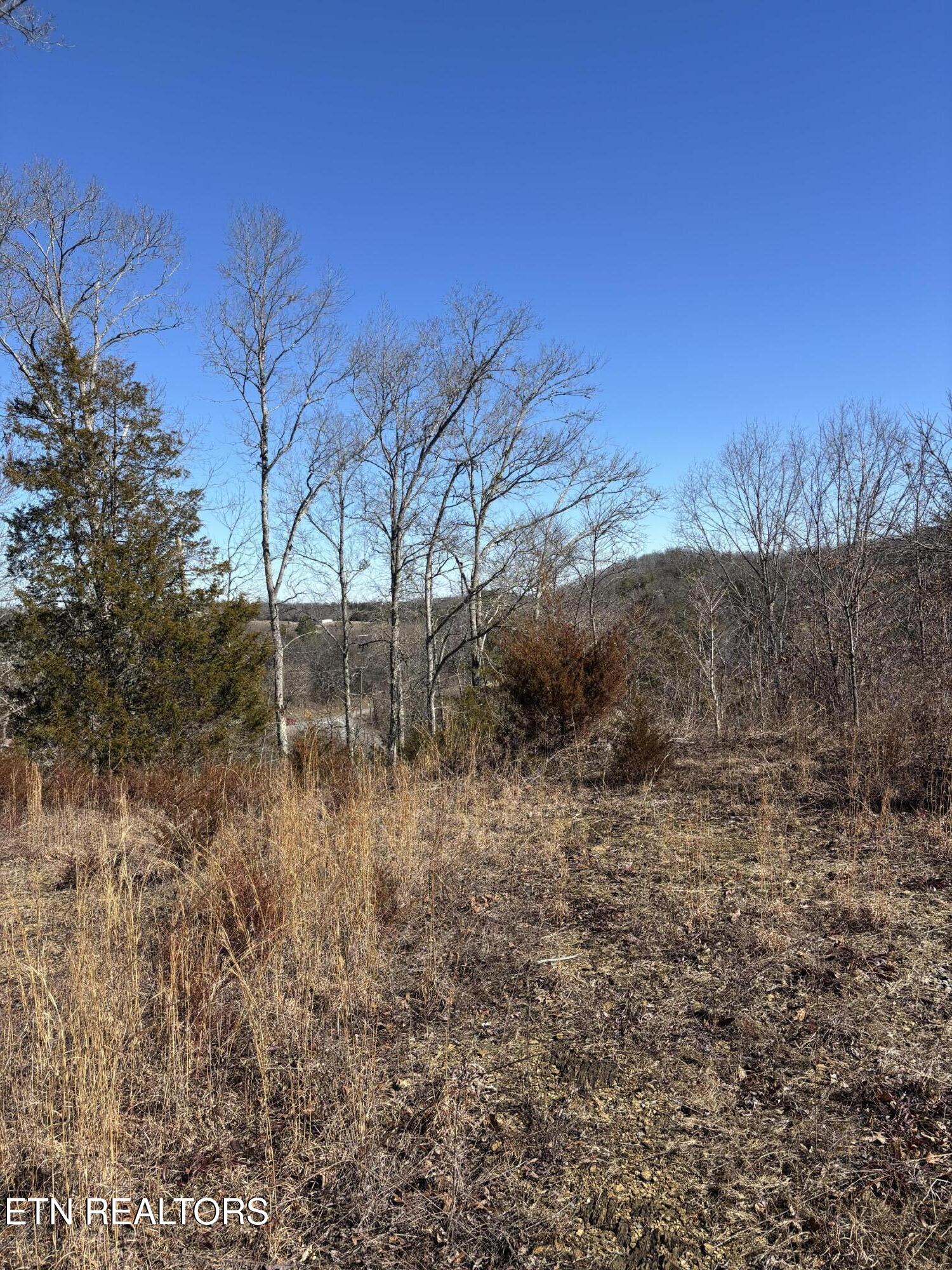 Tract 4 Rule Hollow Road Sevierville TN 37876