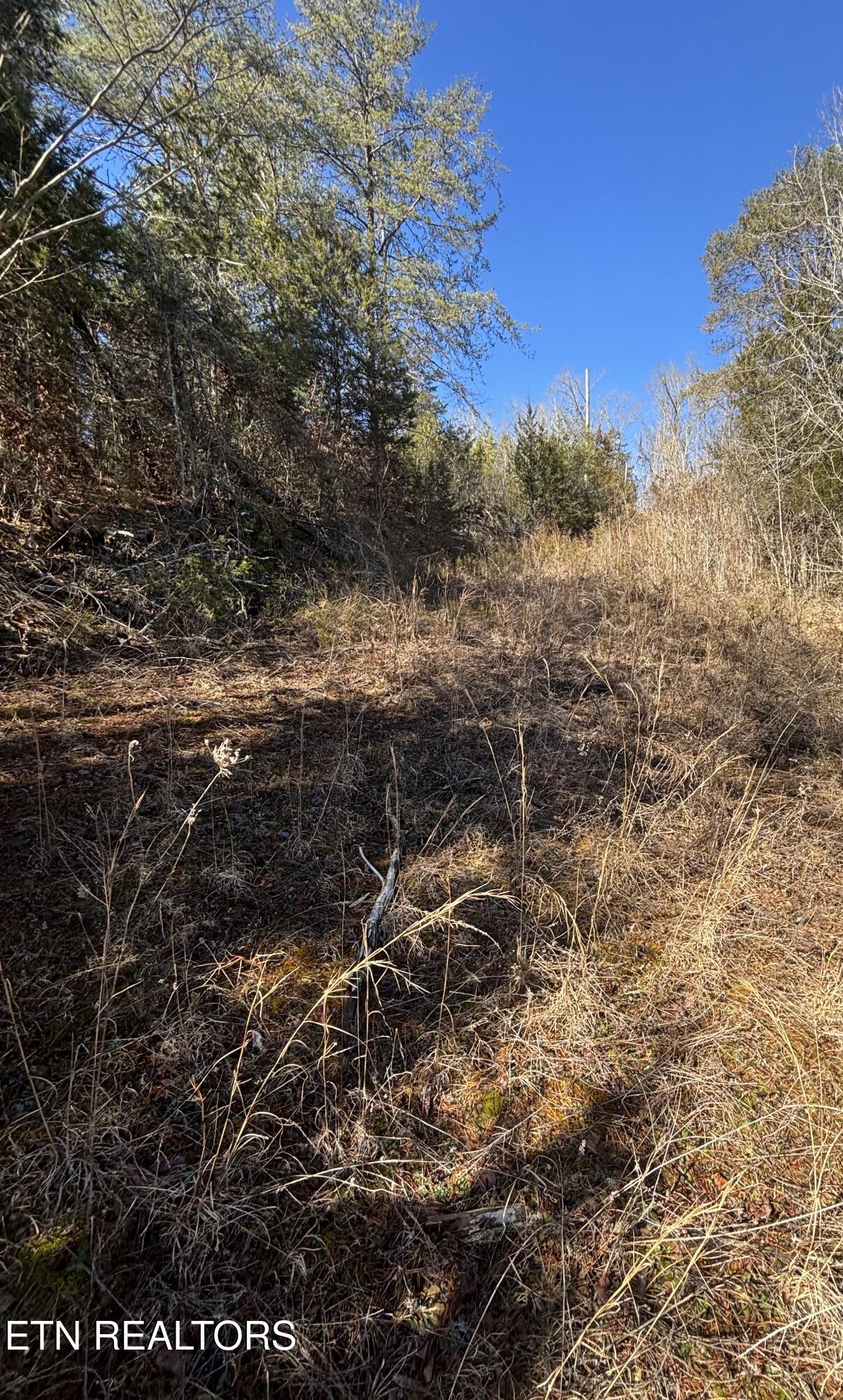 Tract 4 Rule Hollow Road Sevierville TN 37876