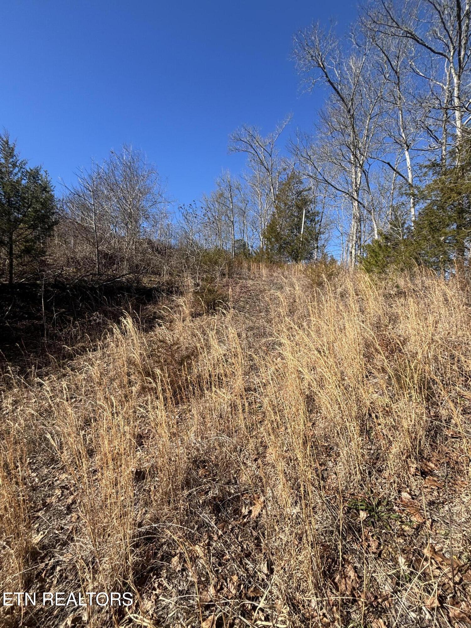 Tract 4 Rule Hollow Road Sevierville TN 37876