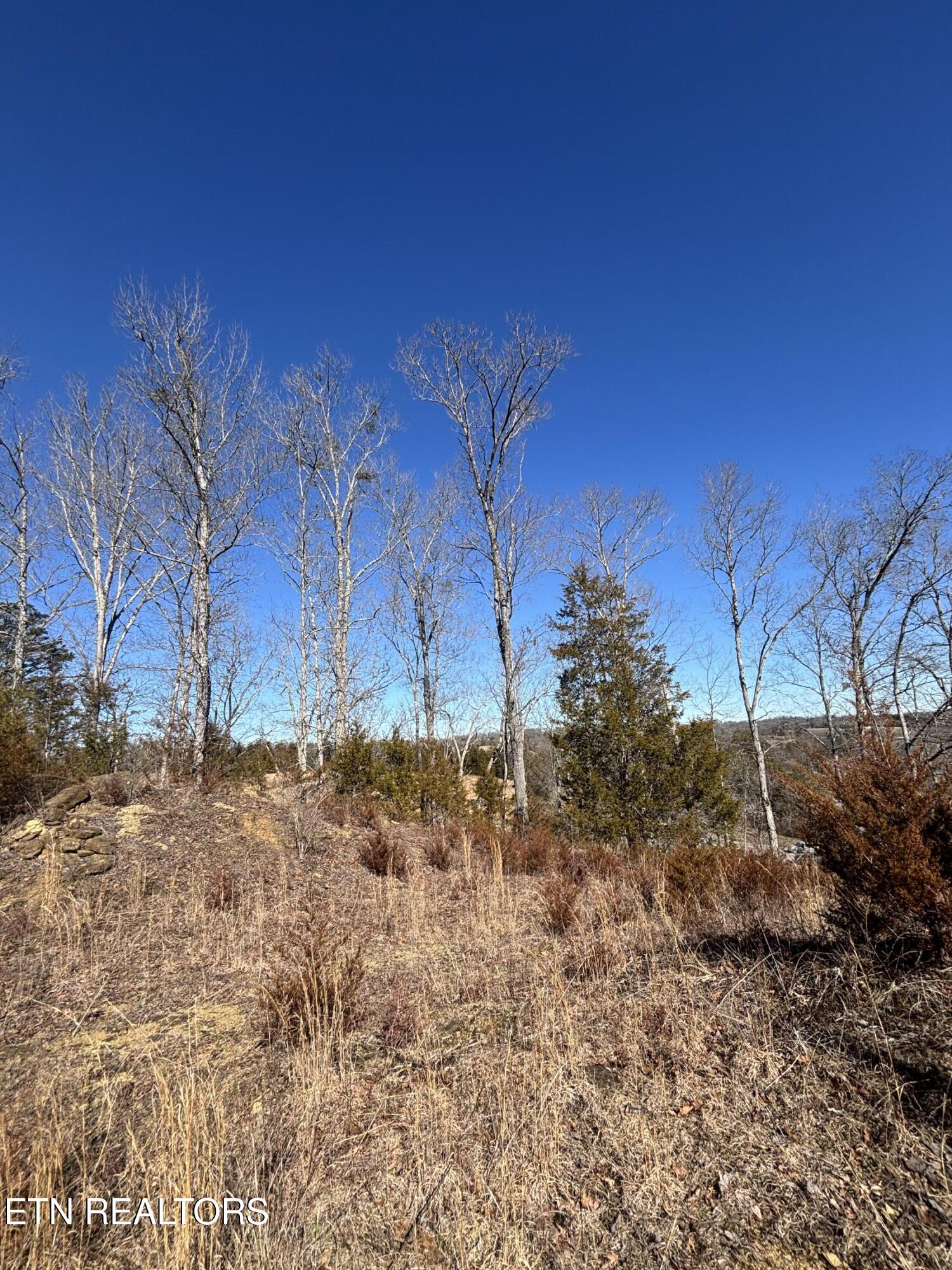 Tract 4 Rule Hollow Road Sevierville TN 37876