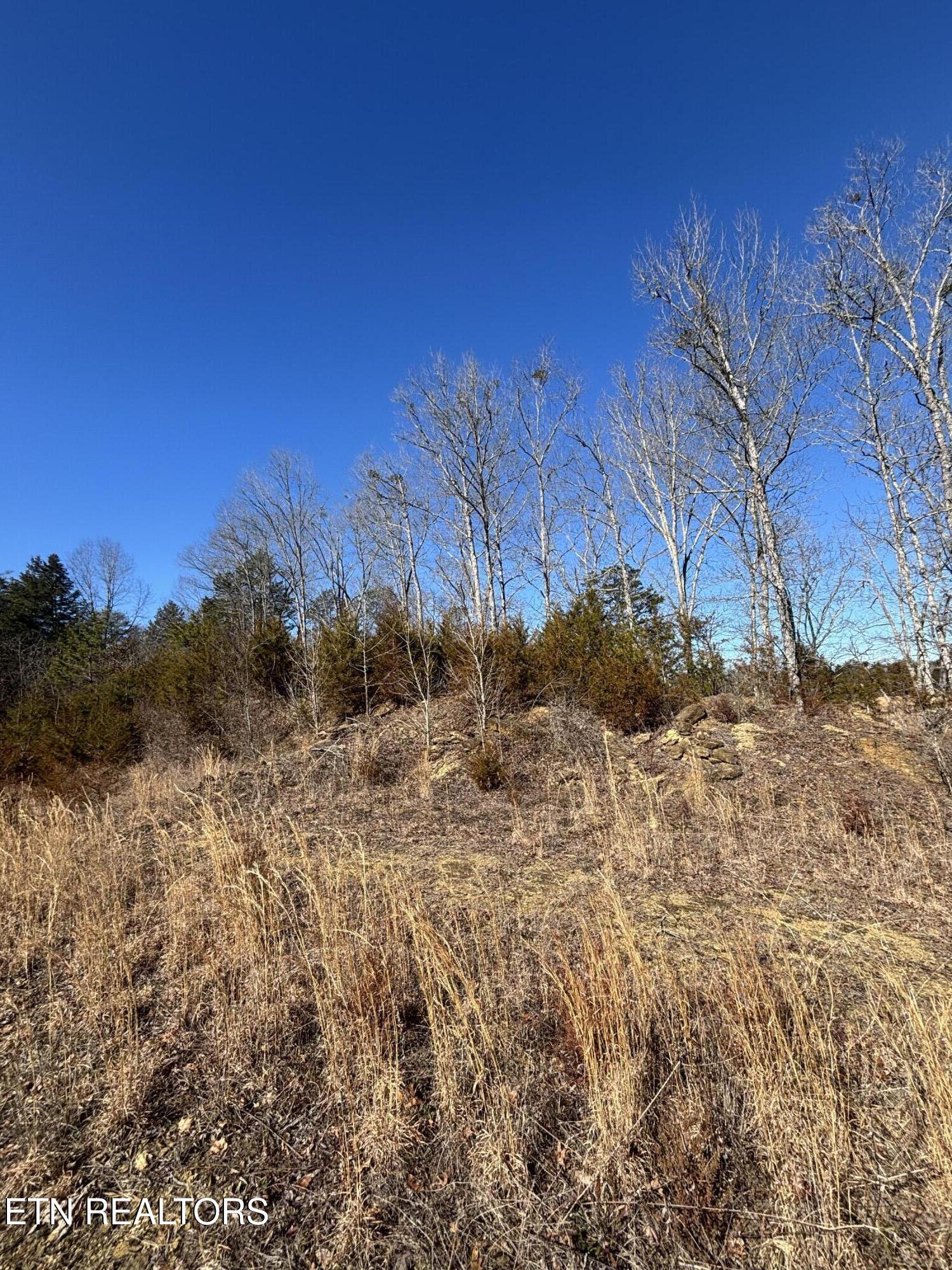Tract 4 Rule Hollow Road Sevierville TN 37876