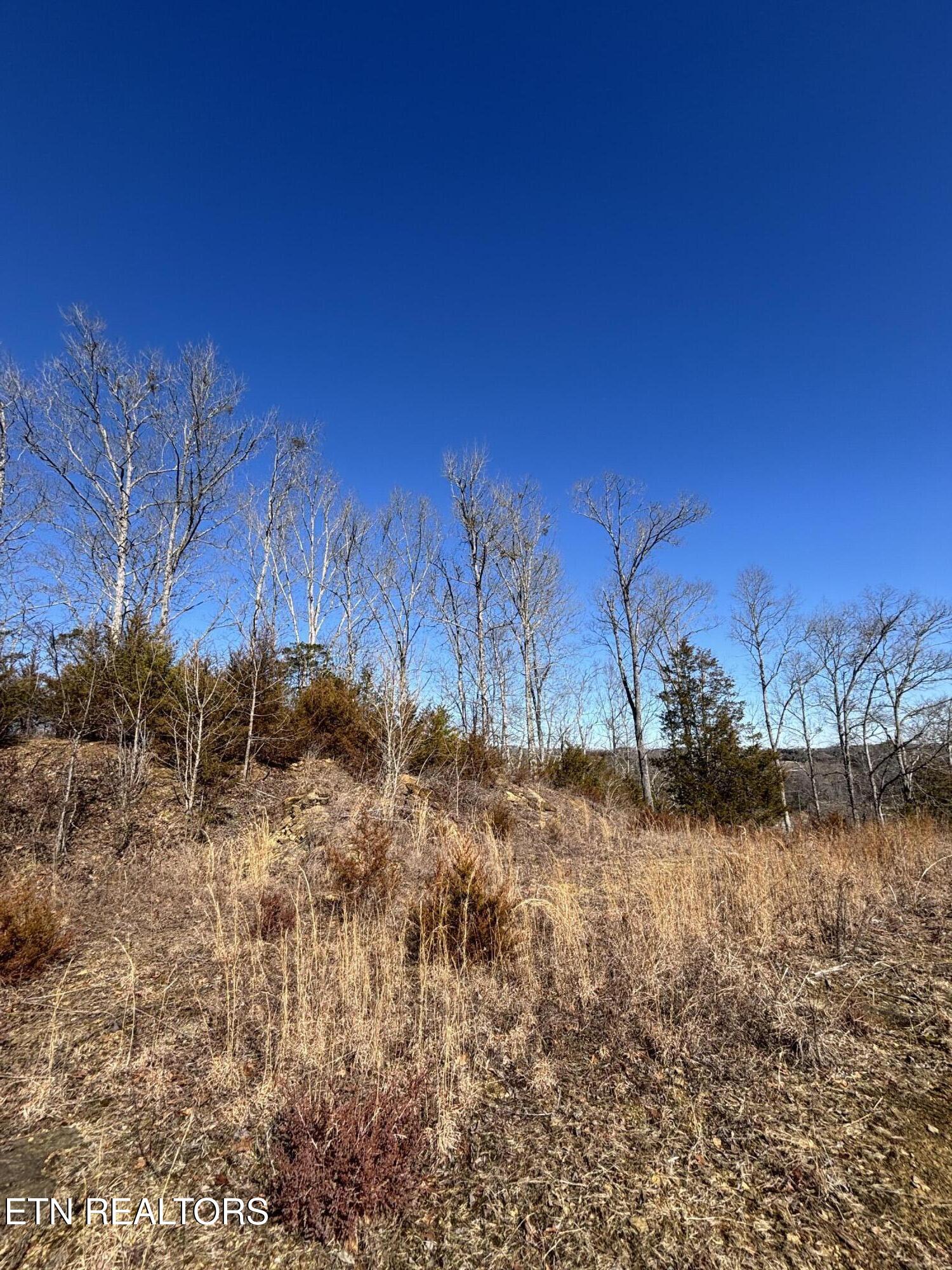 Tract 4 Rule Hollow Road Sevierville TN 37876