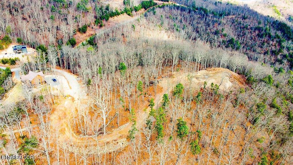 Tract A Mountain Ash Way Sevierville TN 37876