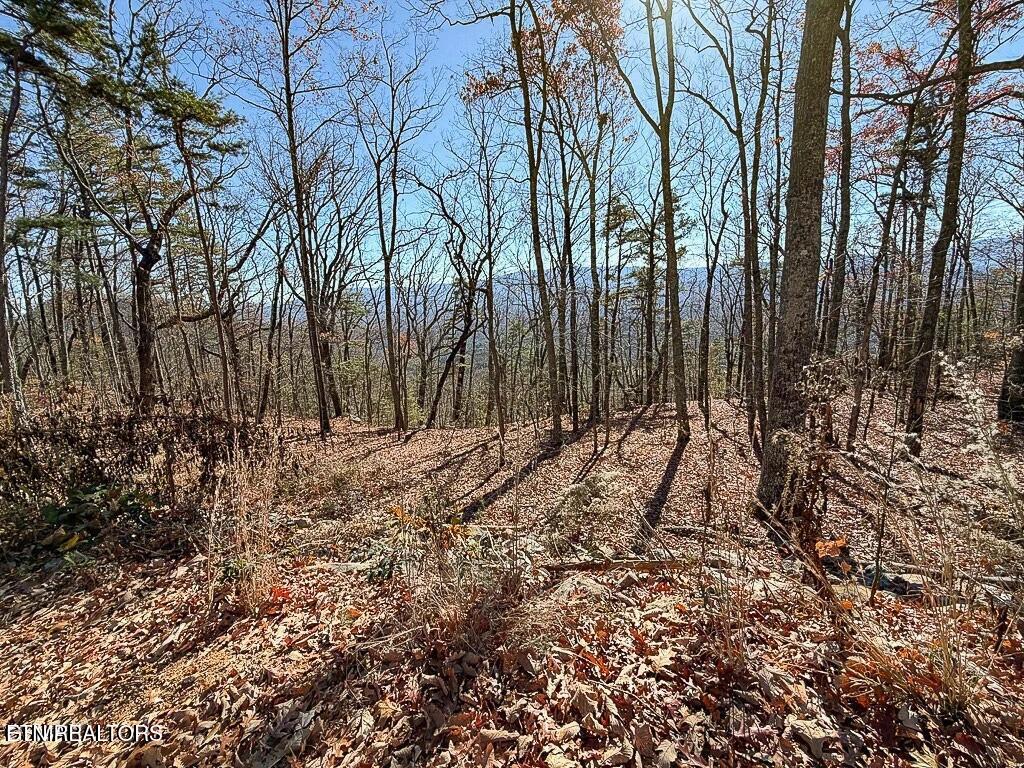 Tract A Mountain Ash Way Sevierville TN 37876