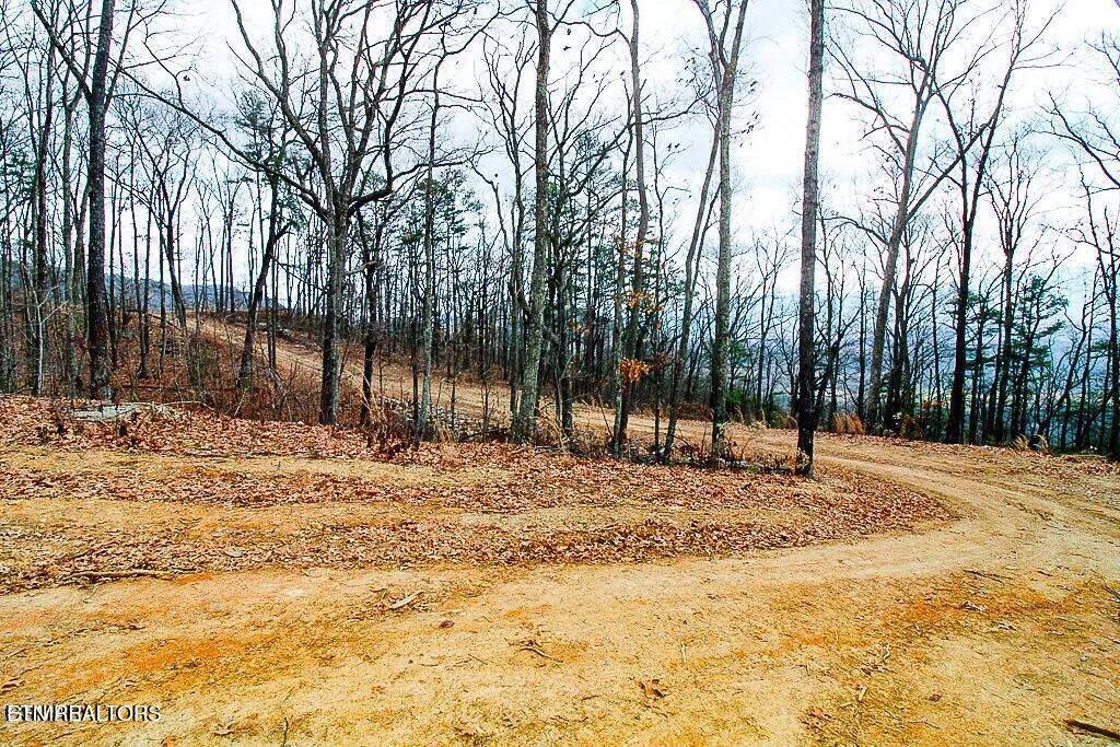 Tract A Mountain Ash Way Sevierville TN 37876