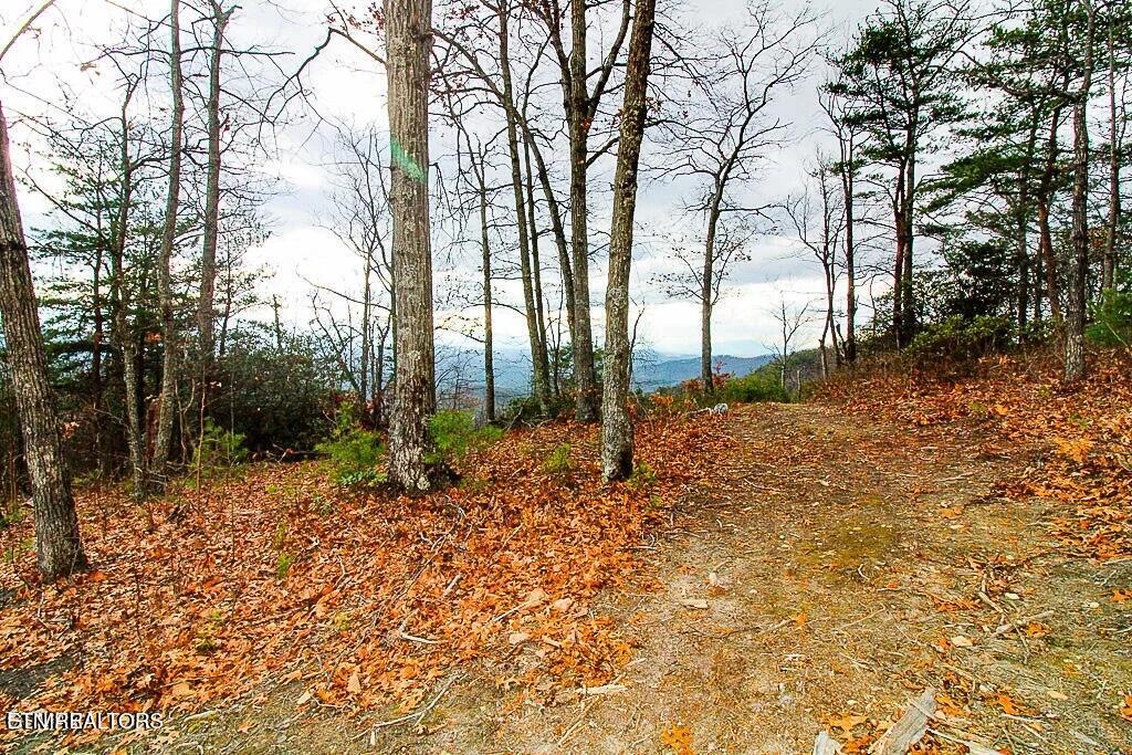 Tract A Mountain Ash Way Sevierville TN 37876