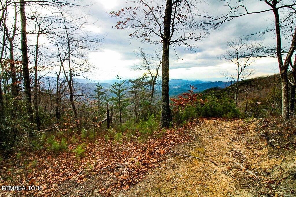 Tract A Mountain Ash Way Sevierville TN 37876