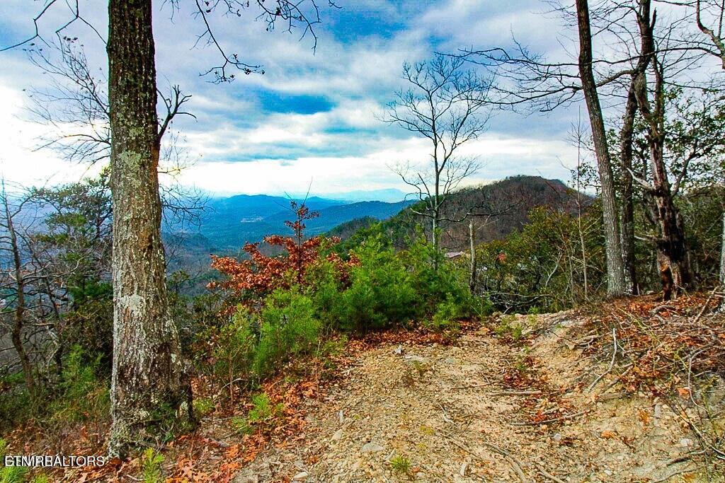 Tract A Mountain Ash Way Sevierville TN 37876
