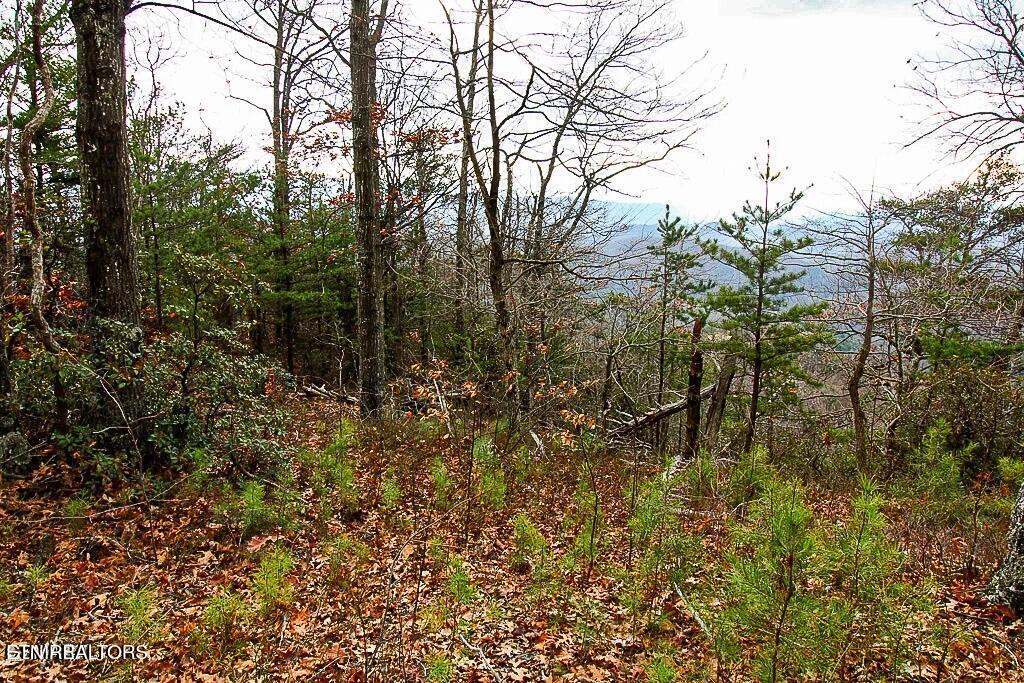 Tract A Mountain Ash Way Sevierville TN 37876