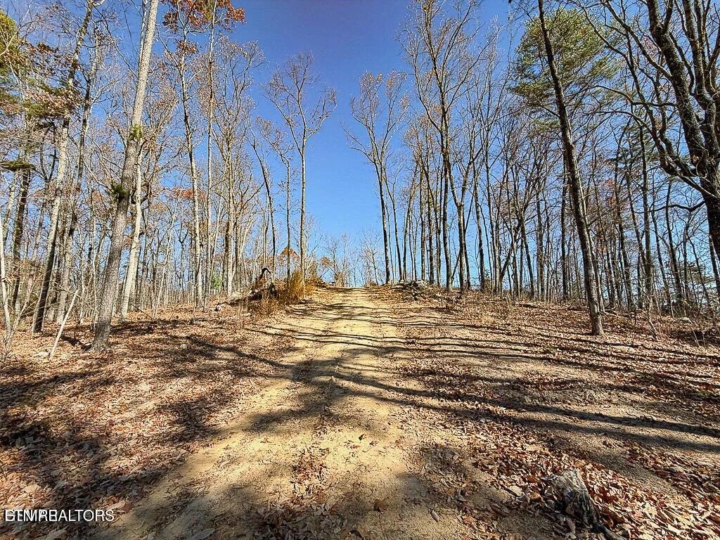 Tract A Mountain Ash Way Sevierville TN 37876